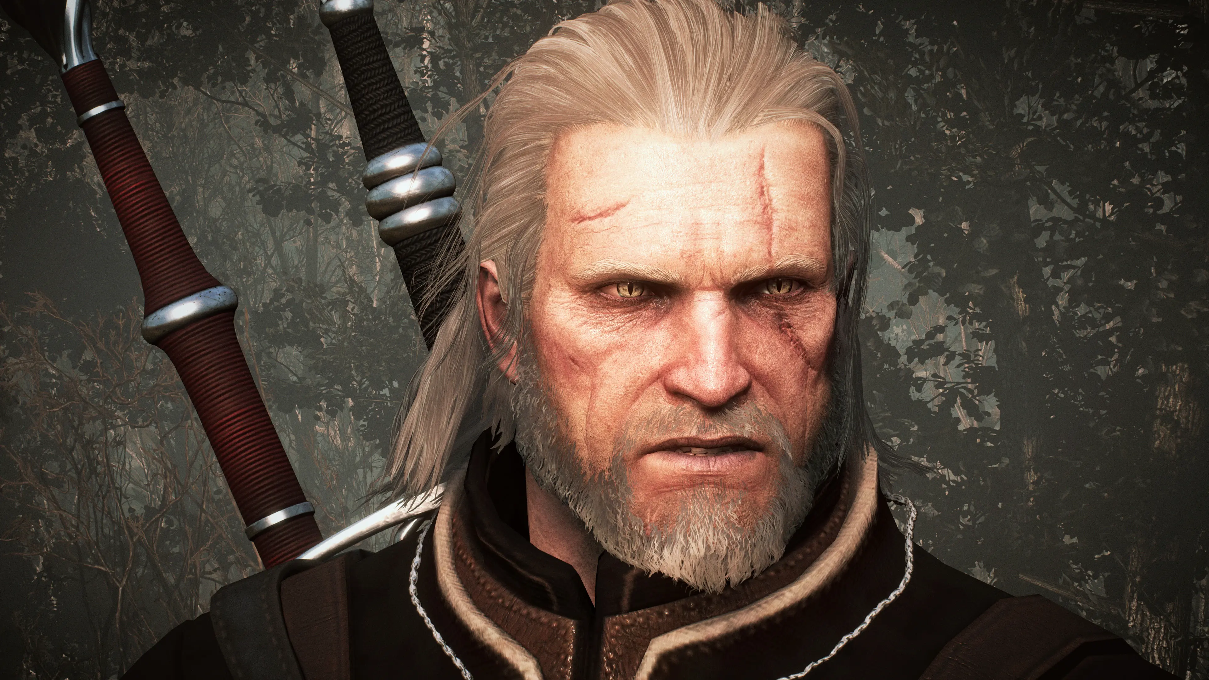 Geralt Face Retexture (Face from The Witcher 3) at The Witcher Nexus - mods  and community