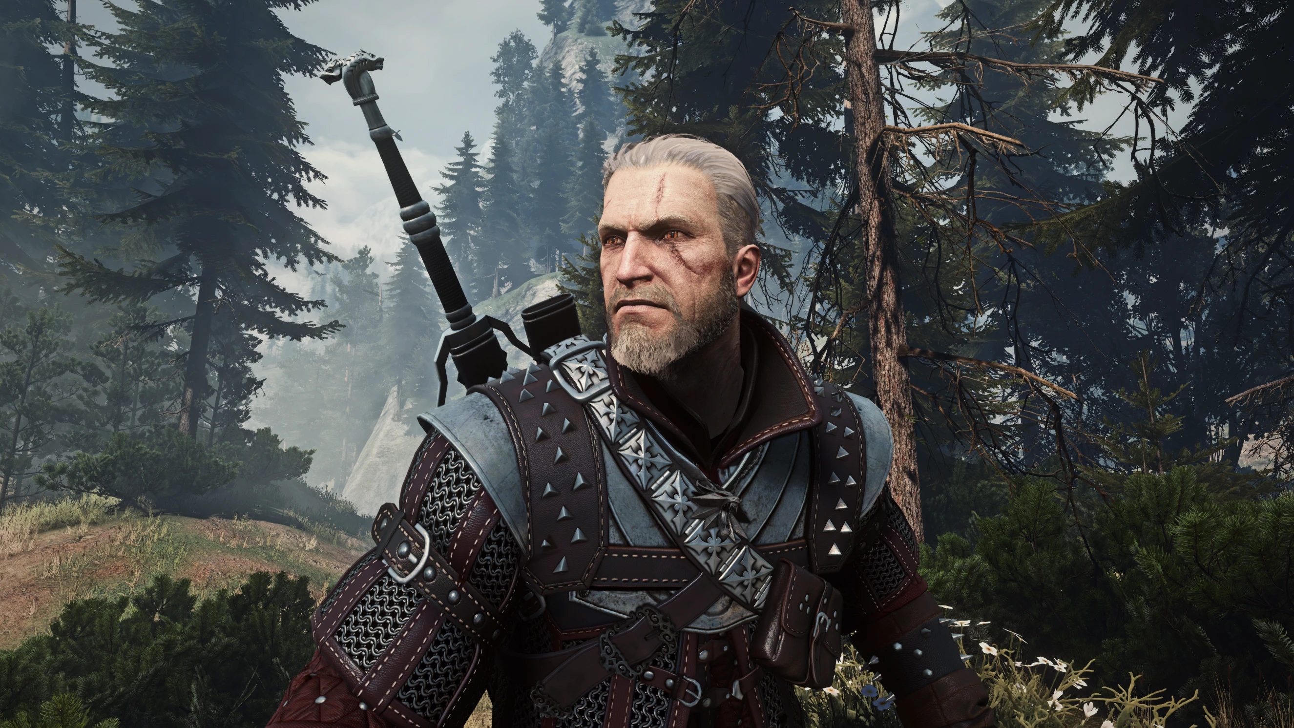 The witcher 3 console nexus фото 6