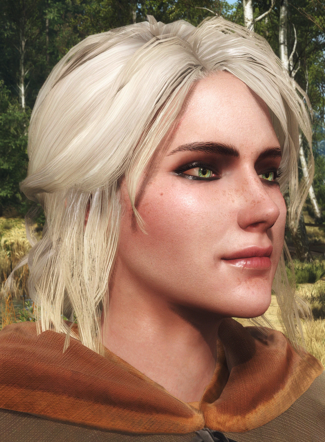 The Witcher 3 Wild Hunt Screenshot Number 92 at The Witcher 3 Nexus ...