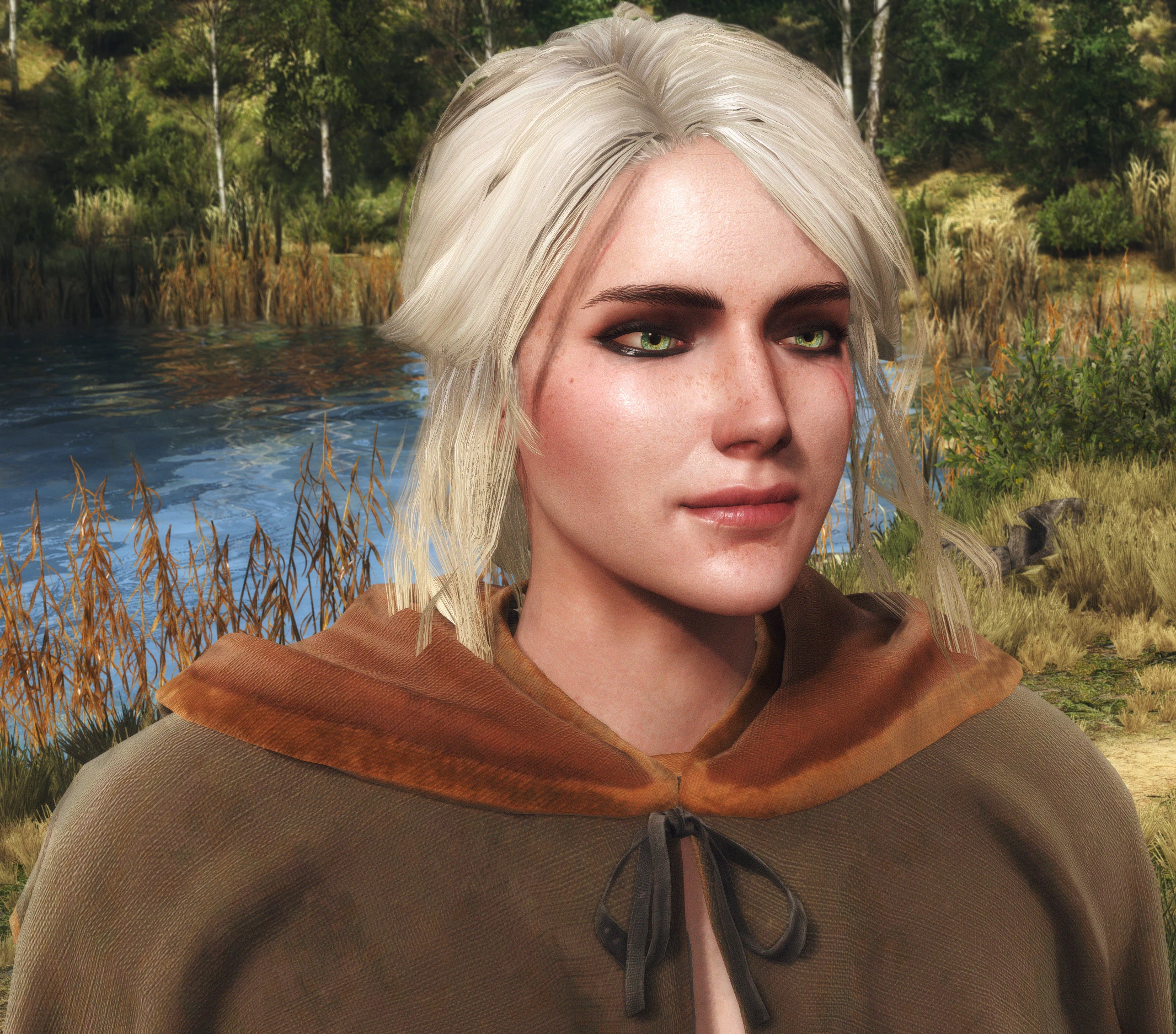 The Witcher 3 Wild Hunt Screenshot Number 93 at The Witcher 3 Nexus ...