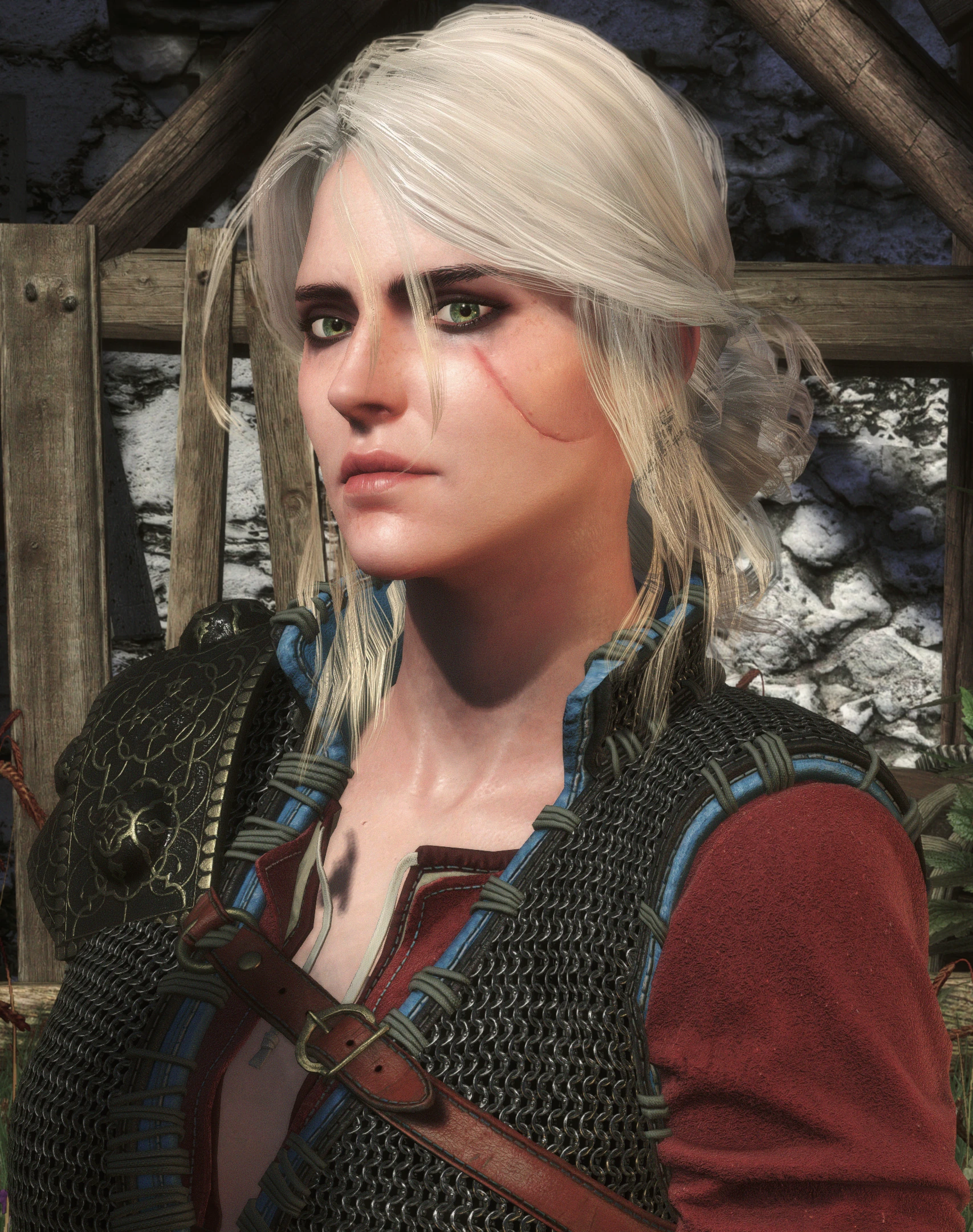 The Witcher 3 Wild Hunt Screenshot Number 153 at The Witcher 3 Nexus ...