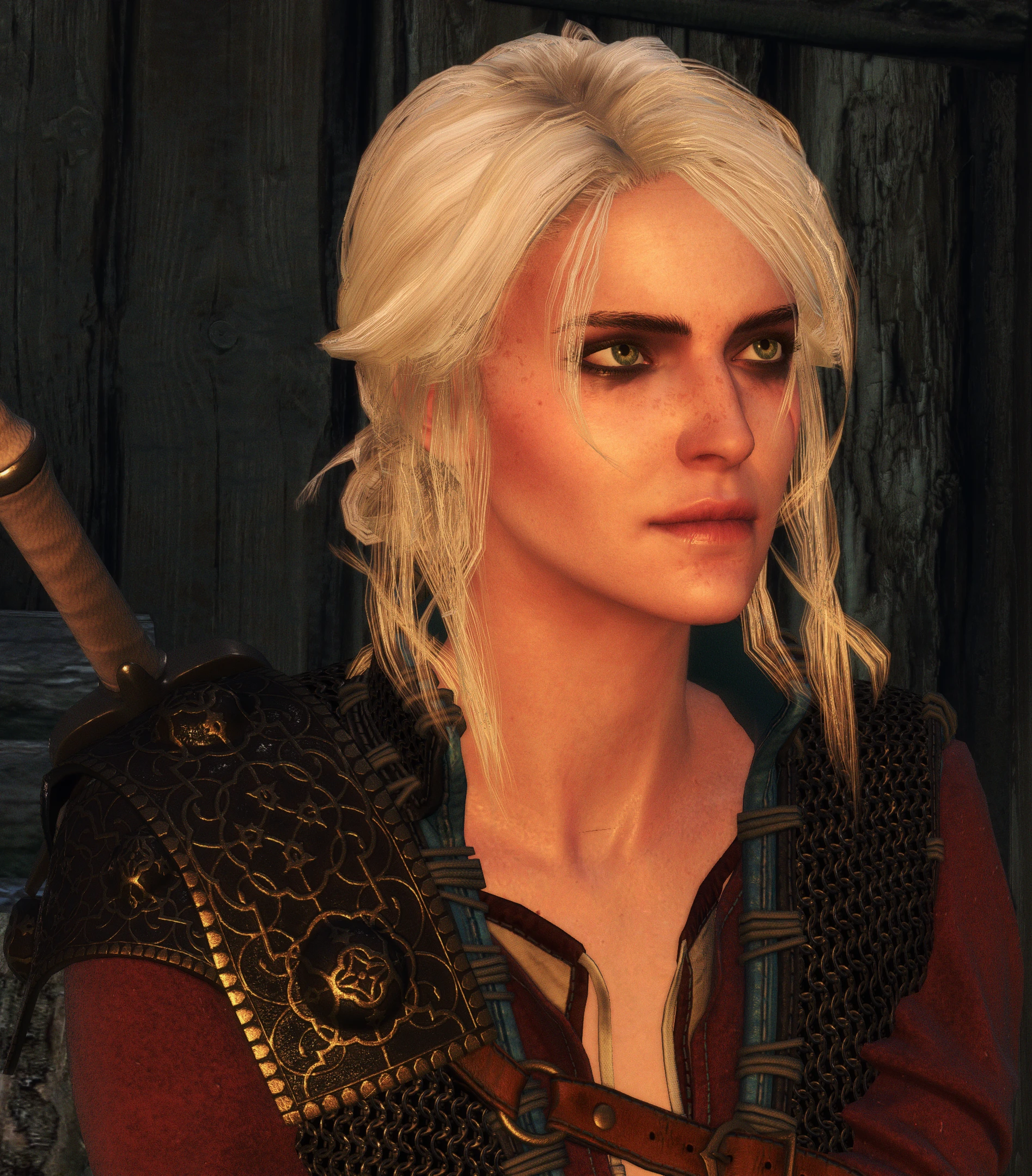 The Witcher 3 Wild Hunt Screenshot Number 175 at The Witcher 3 Nexus ...