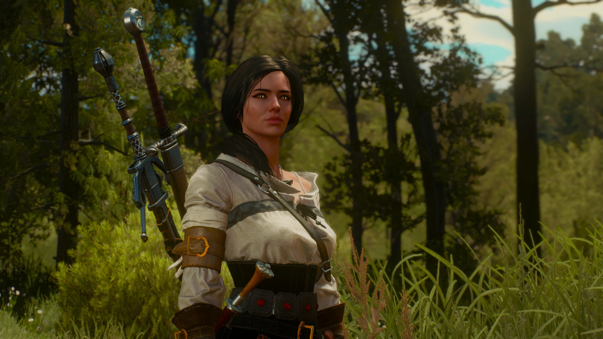 Lady Witcher at The Witcher 3 Nexus - Mods and community