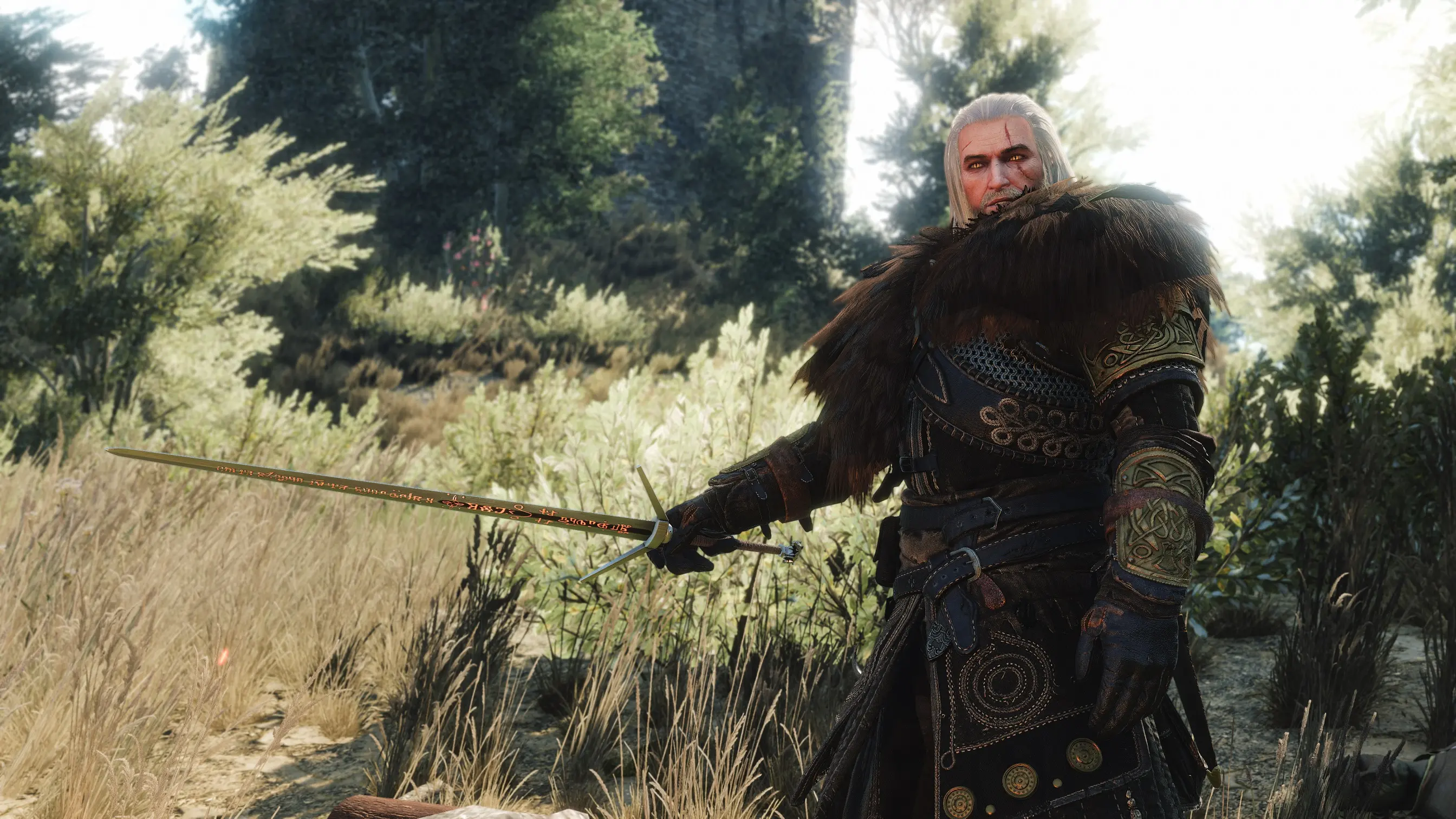 The witcher 3 light mod фото 77