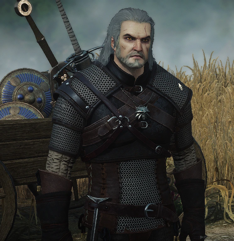 My Geralt Head mod Update 2 at The Witcher 3 Nexus - Mods and community