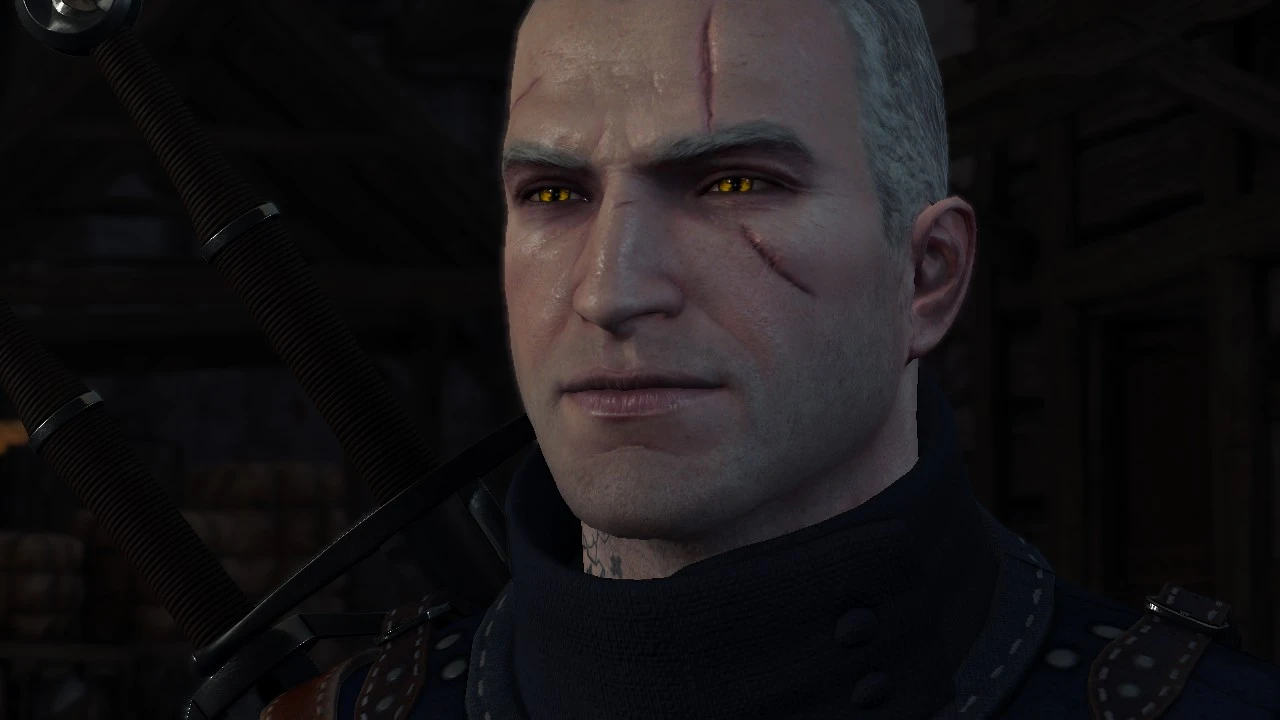 witcher 3 wanna talk to menge or hands off