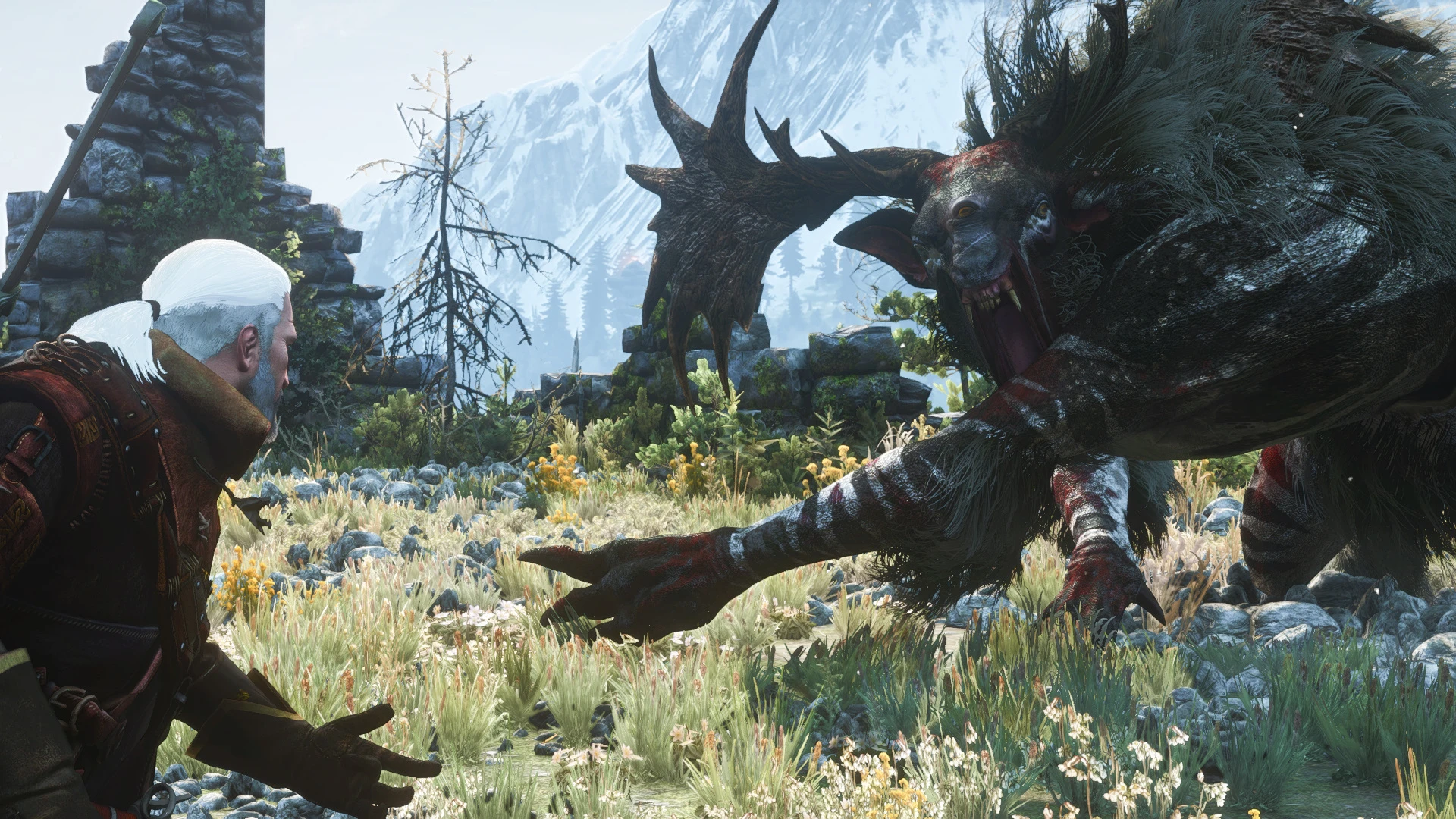 All quest the witcher 3 фото 52