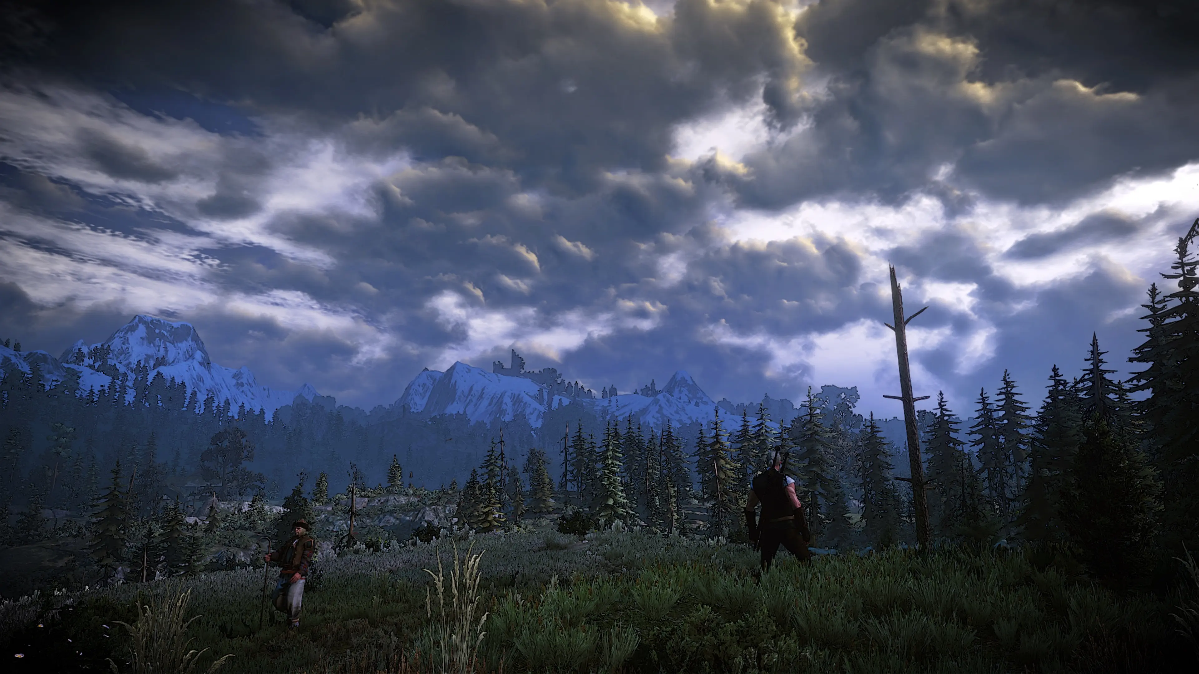 The witcher 3 nexus mods and community фото 78