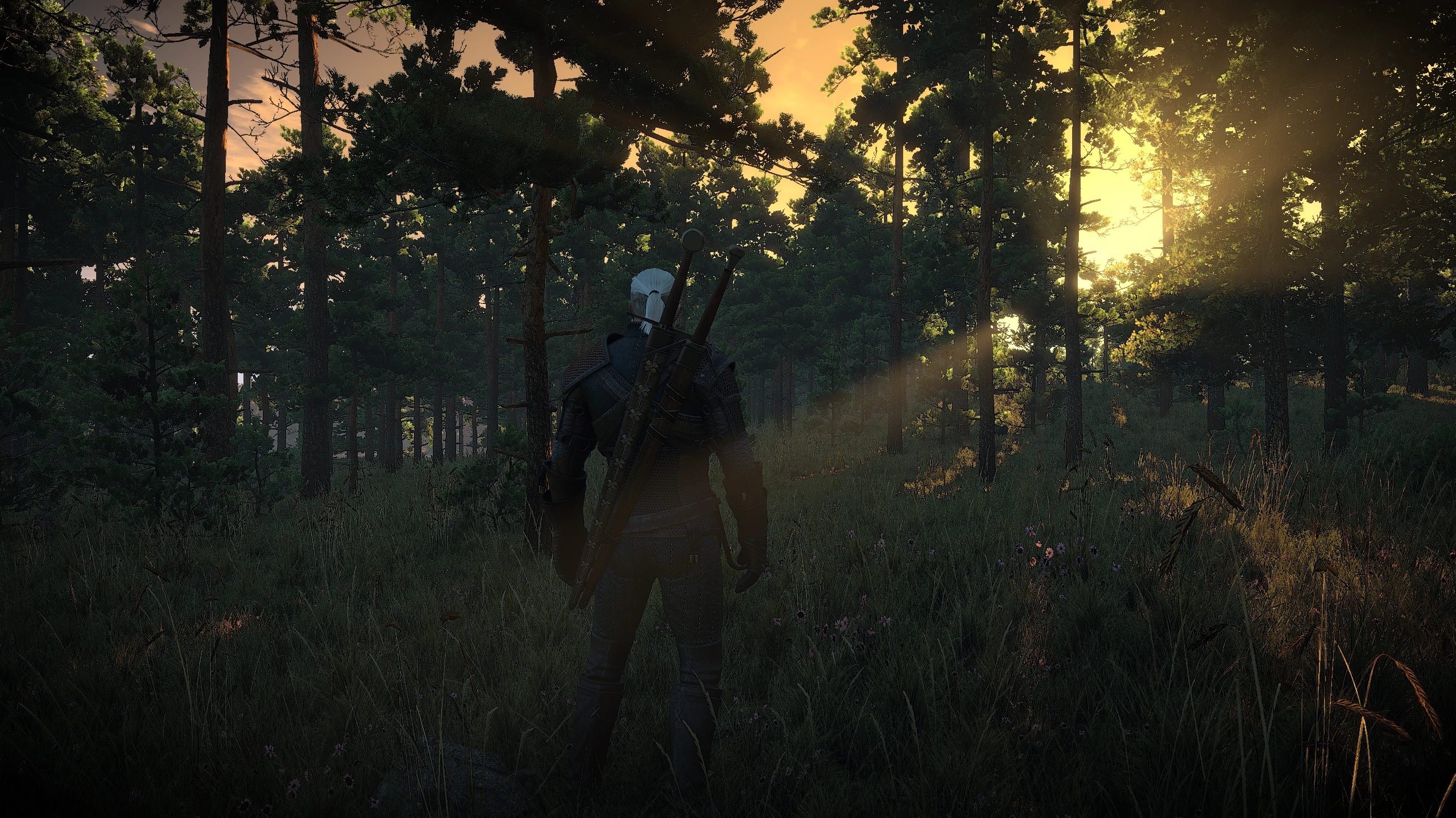 Forest at The Witcher 3 Nexus - Mods and community