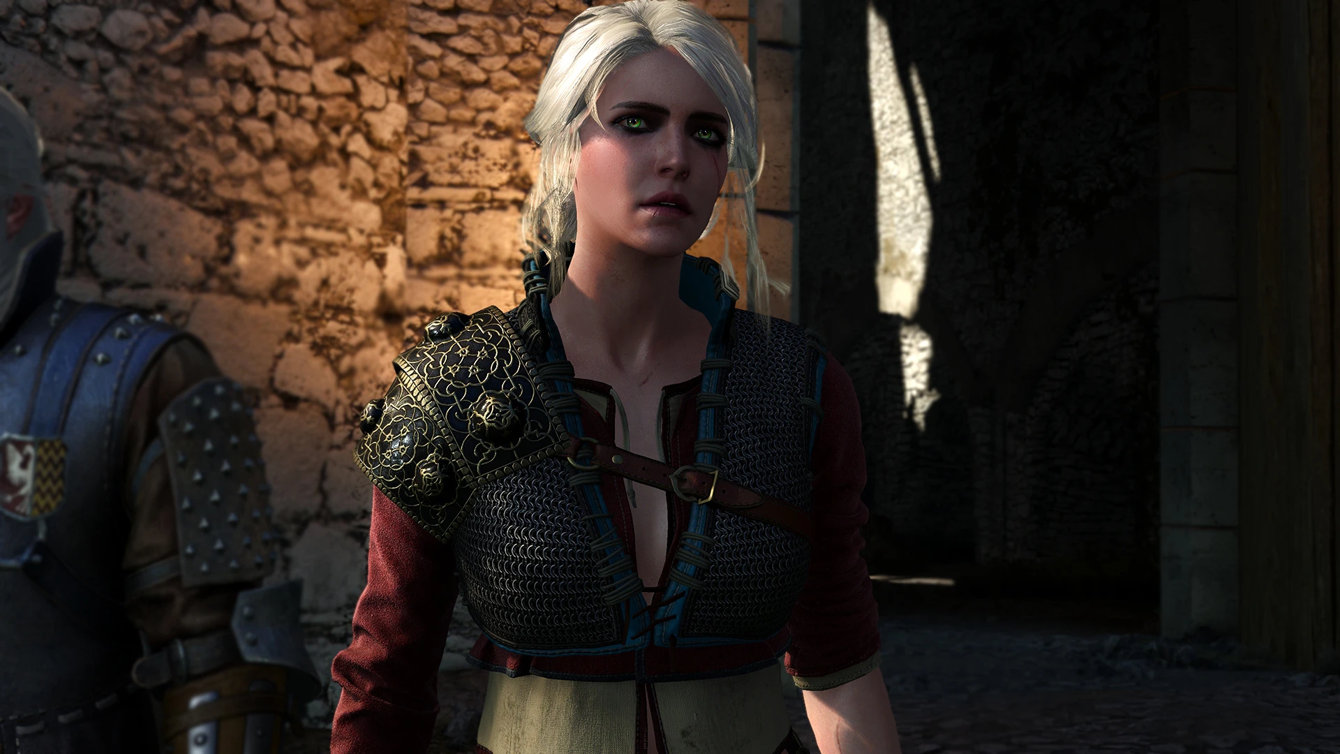 Ciri 3 at The Witcher 3 Nexus - Mods and community