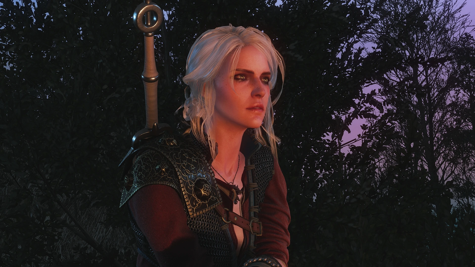 The witcher 3 ciri welcome фото 73