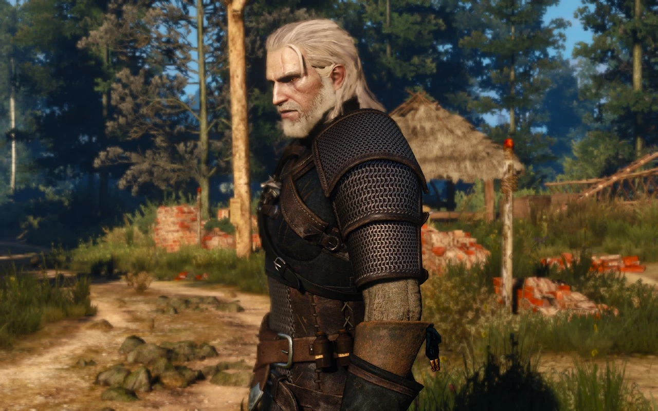 In Velen at The Witcher 3 Nexus - Mods and community