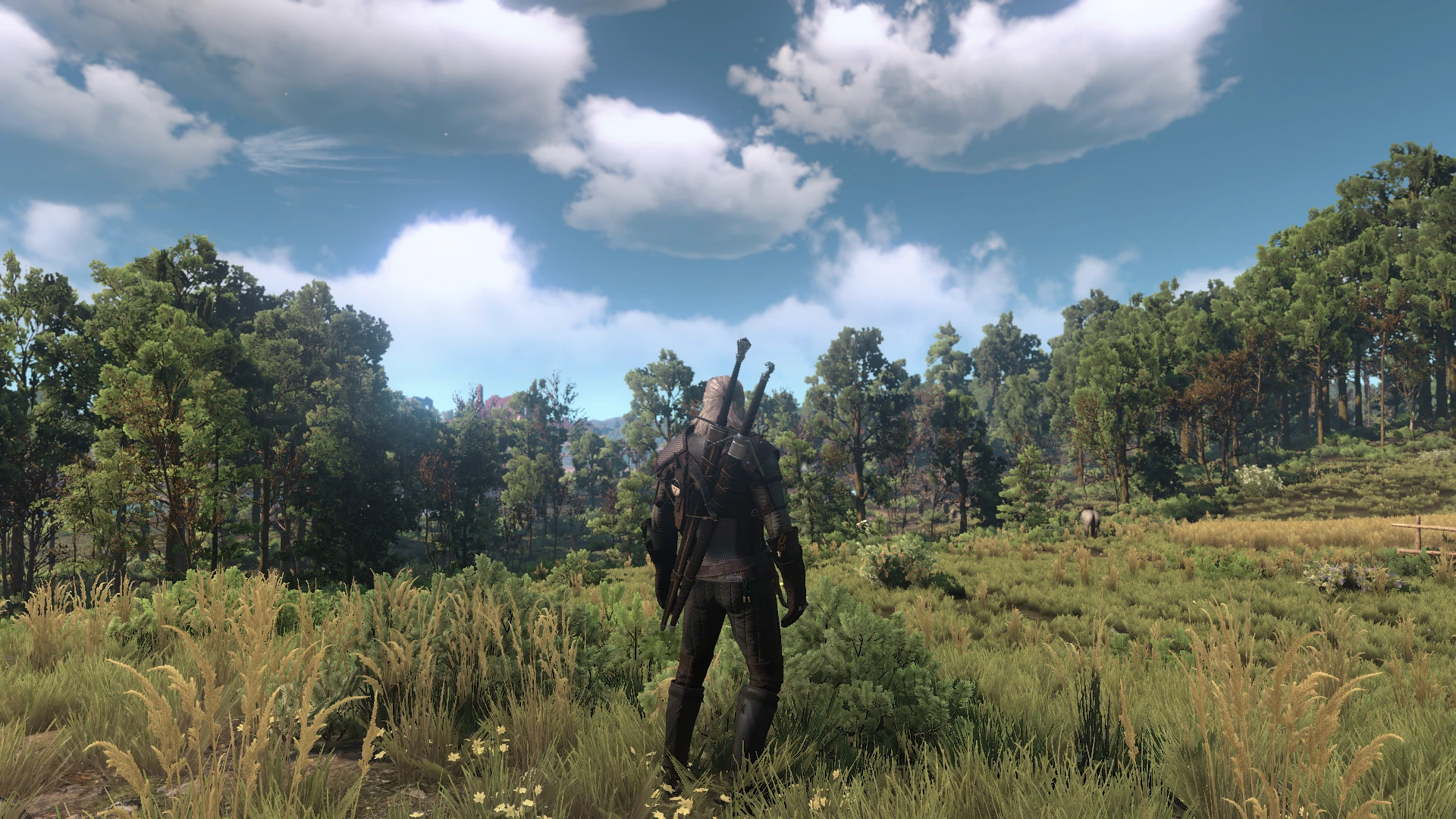 WO at The Witcher 3 Nexus - Mods and community