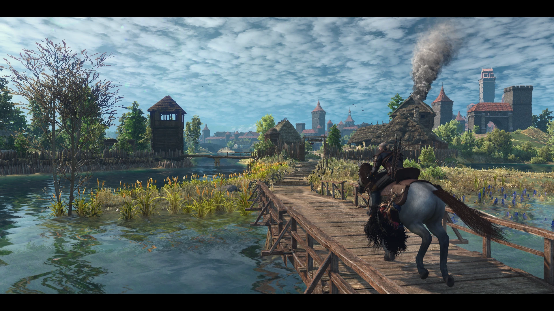 path of warriors witcher 3