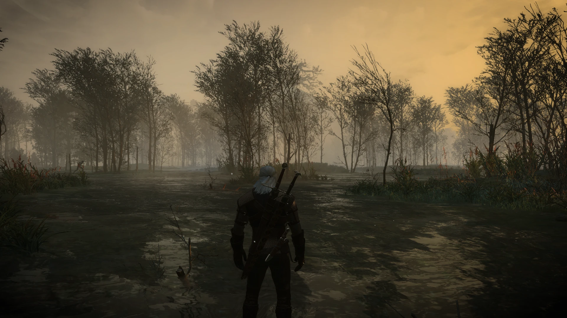 Swamp at The Witcher 3 Nexus - Mods and community