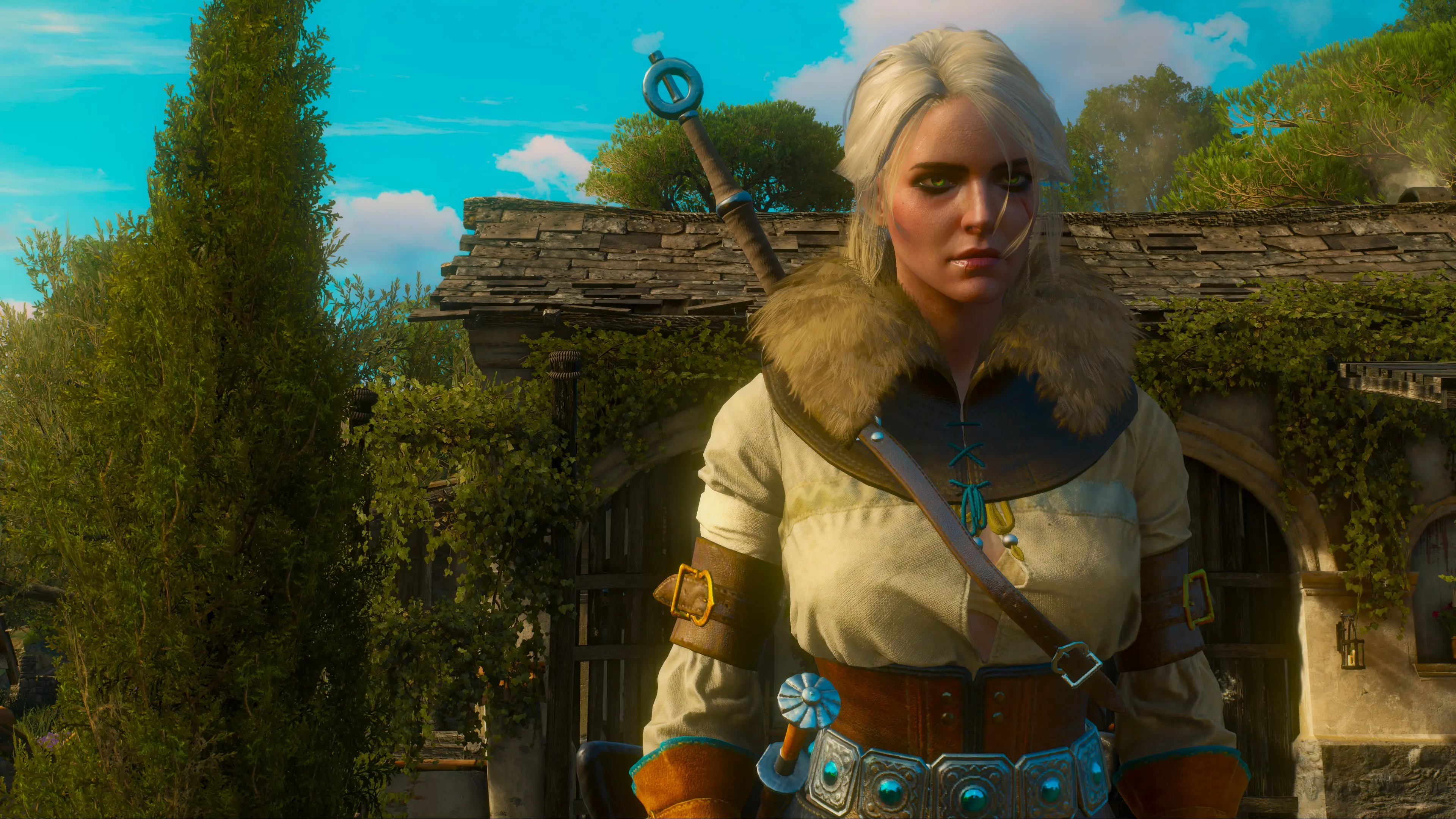 The Witcher 3 4K Ciri Three At The Witcher 3 Nexus Mods And Community   4270312 1485132610 