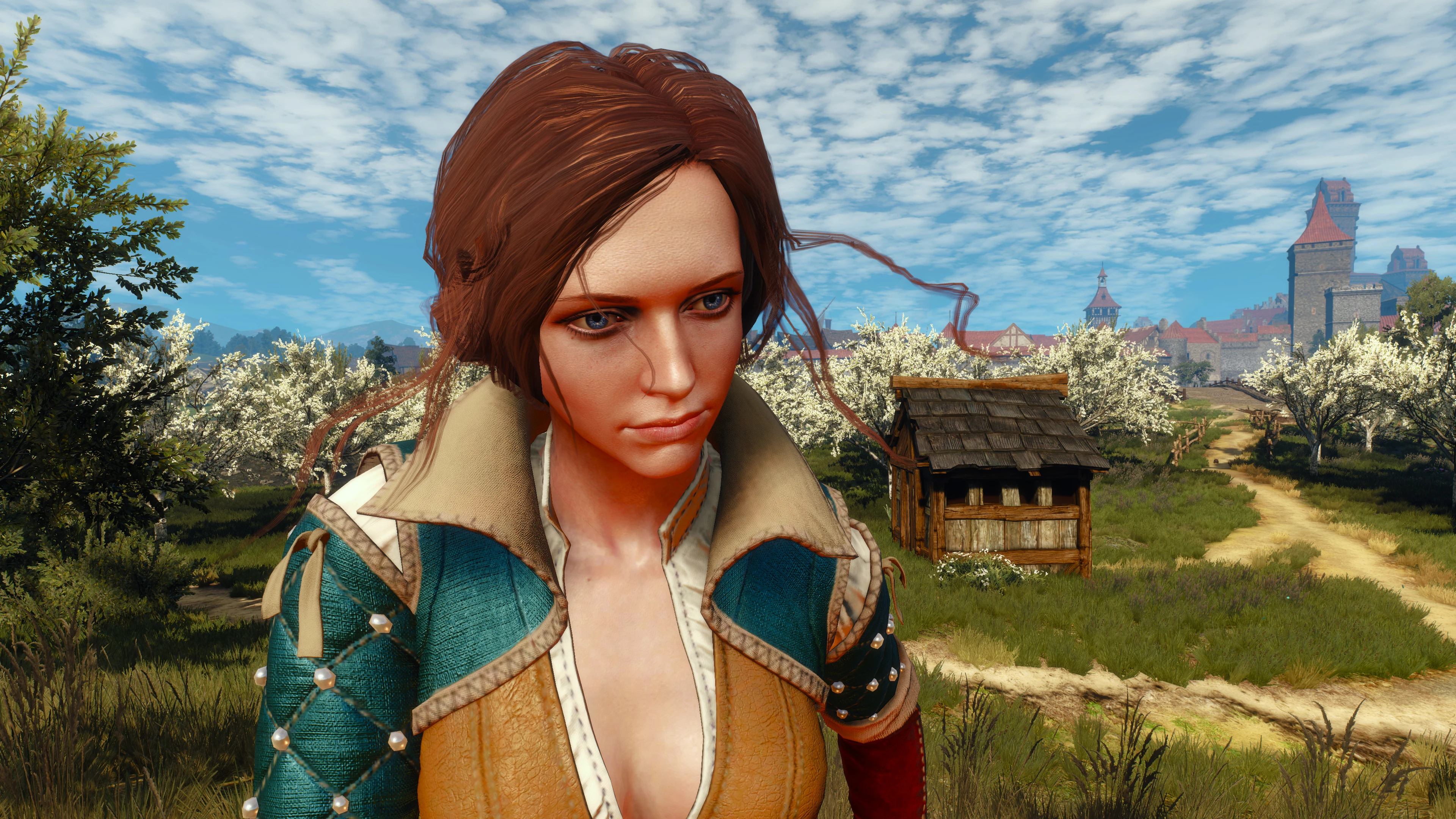 The Witcher 3 4K Triss Stare.