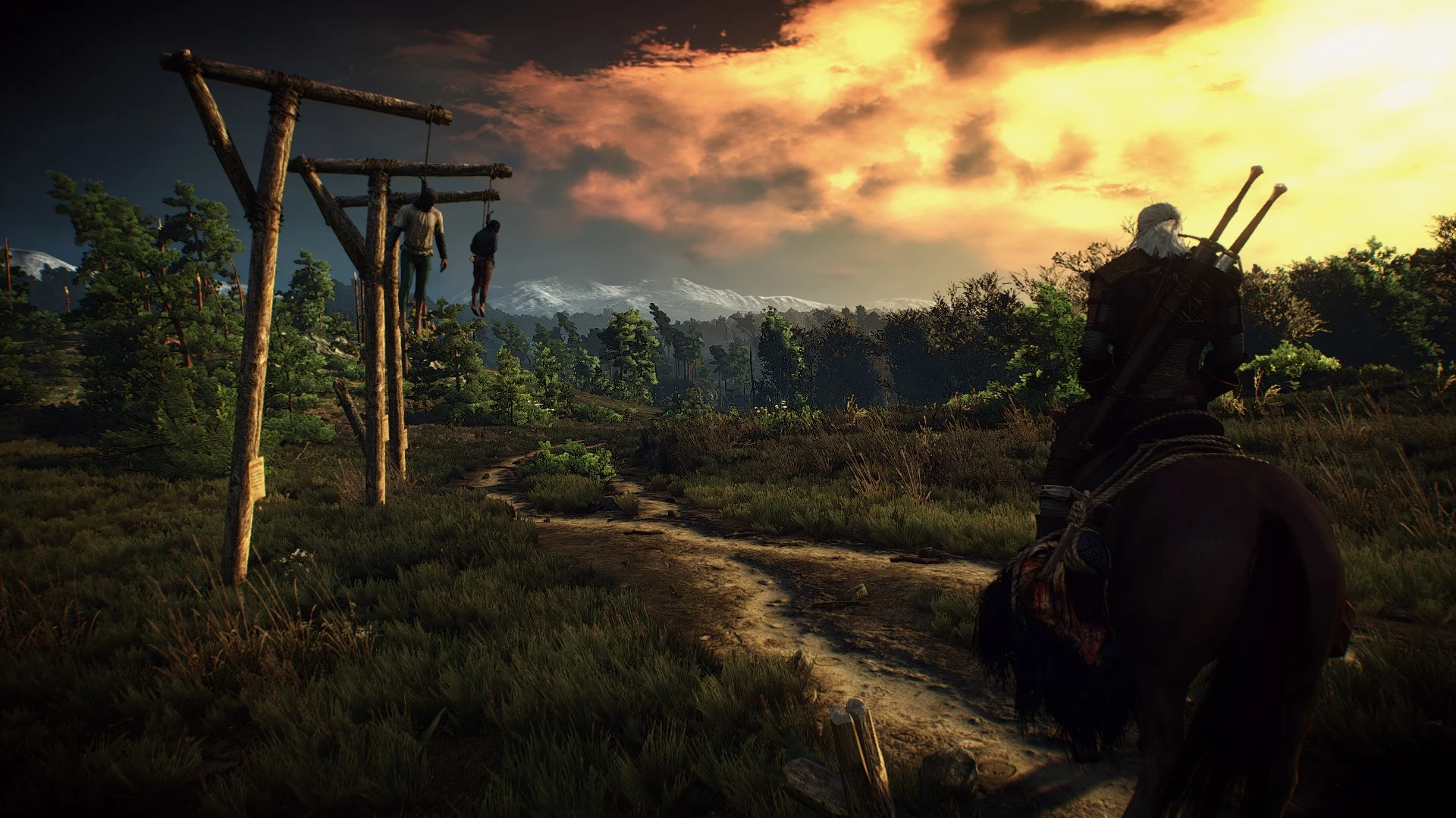 Hd mod the witcher 3 hd фото 104