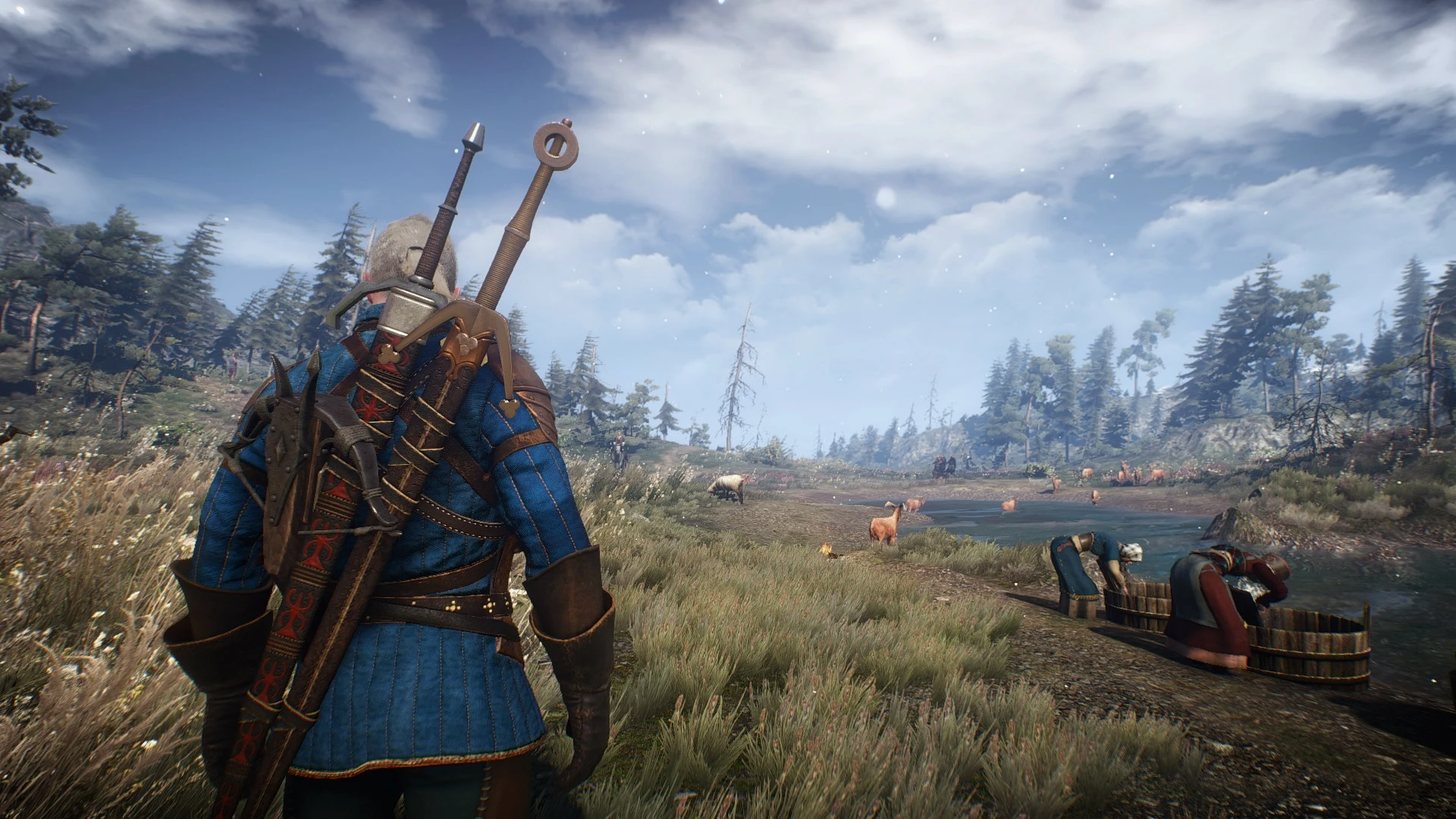 Witcher 3 next gen системные требования. Ведьмак 3 Дикая охота Некст ген. Великан с острова Скеллиге. Девка со Скеллиге.