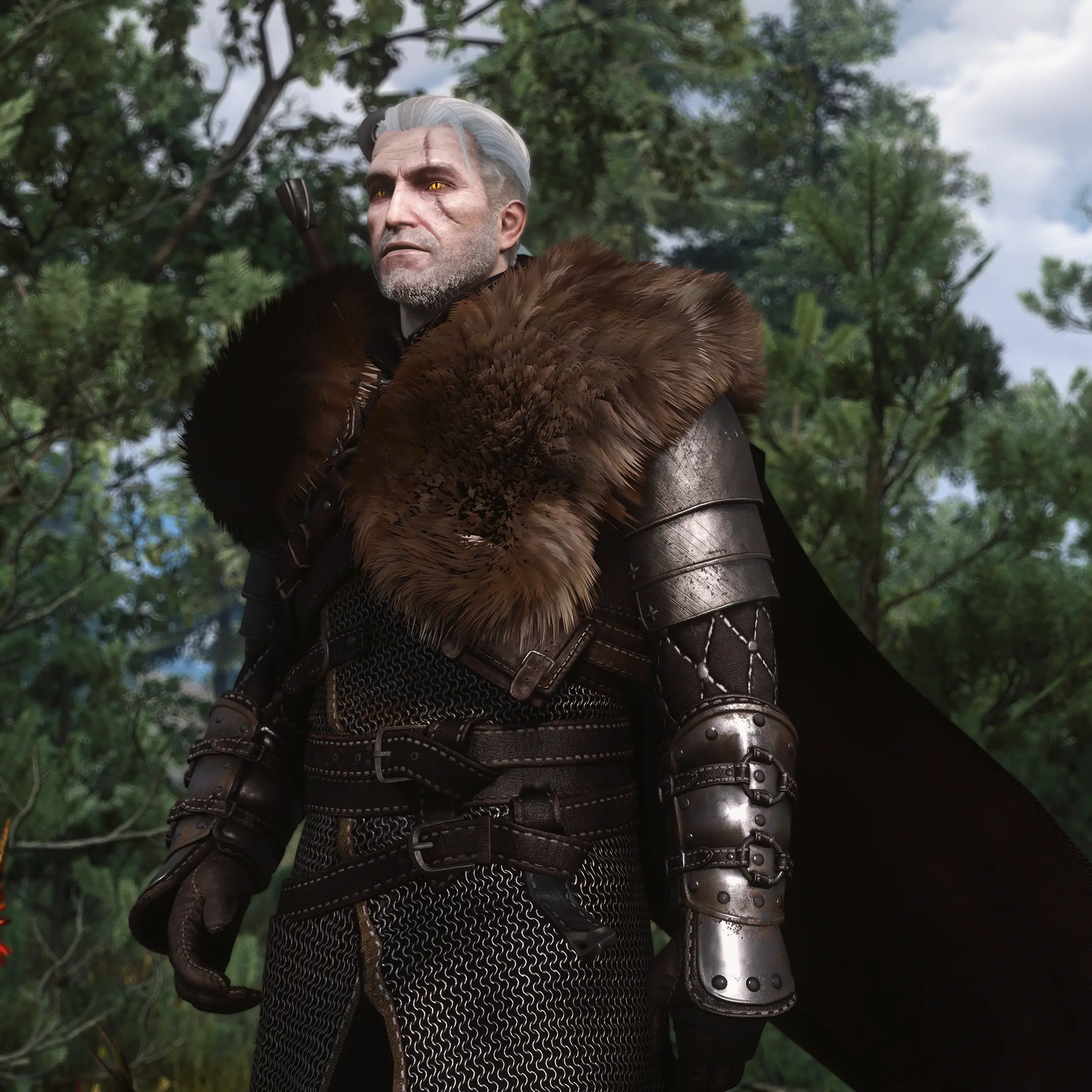 Heart of an An Craite at The Witcher 3 Nexus - Mods and community