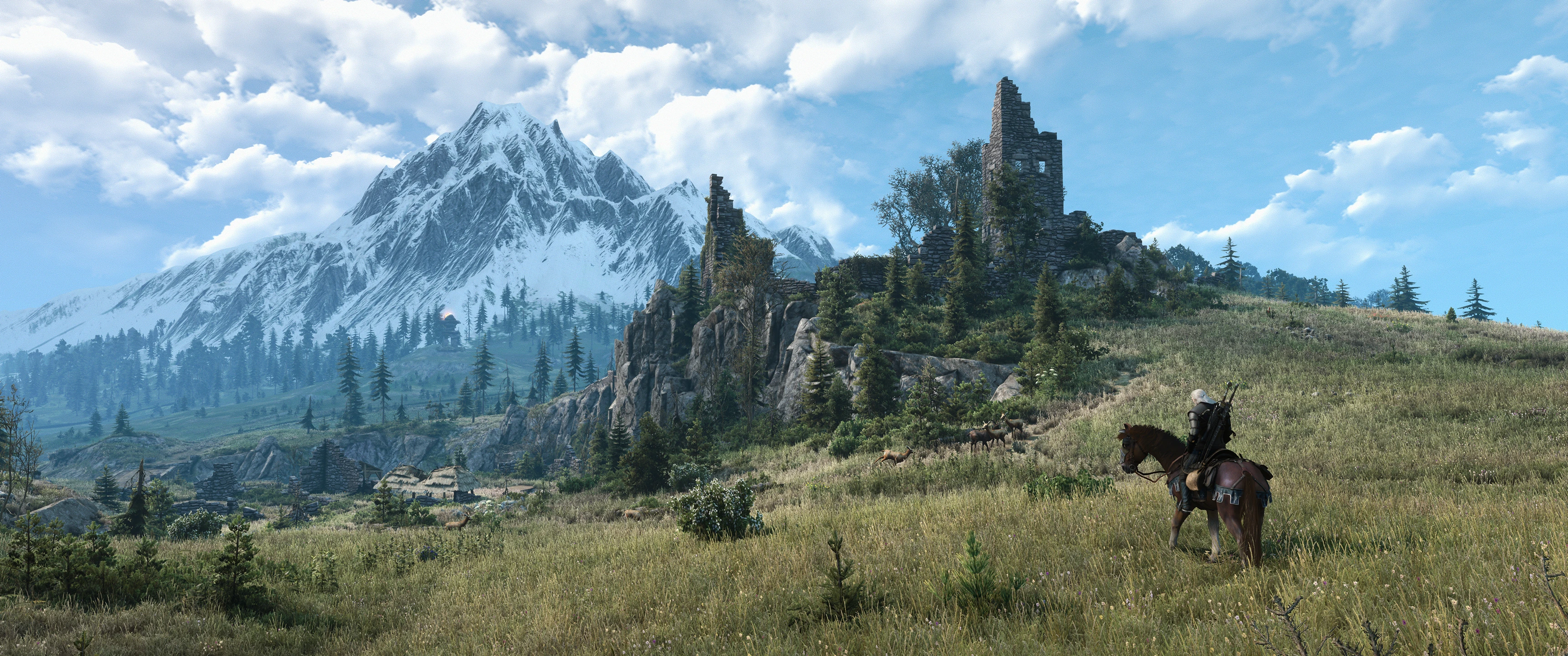 The witcher 3 ард скеллиге фото 5