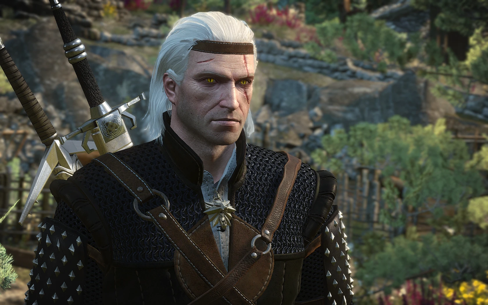 The witcher 3 with geralt doppler фото 13