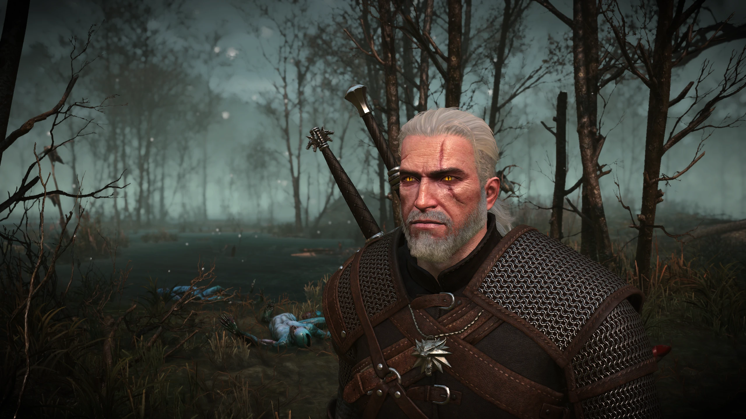 The witcher 3 importing save фото 93