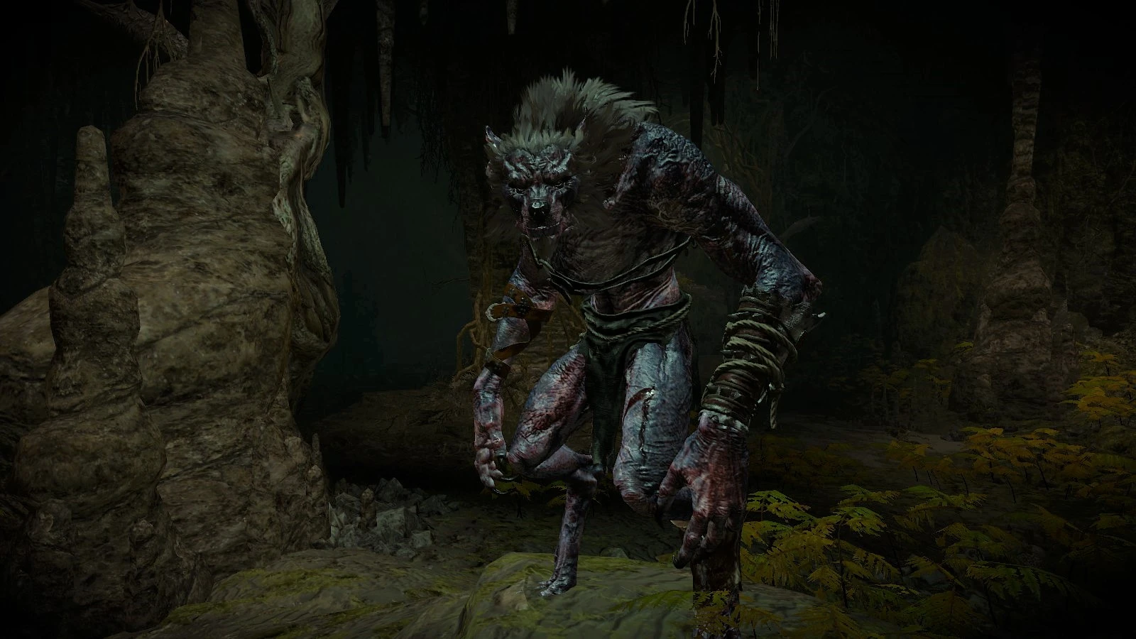 how do i spare the woman and kill the werewolf in wild at heart in witcher 3