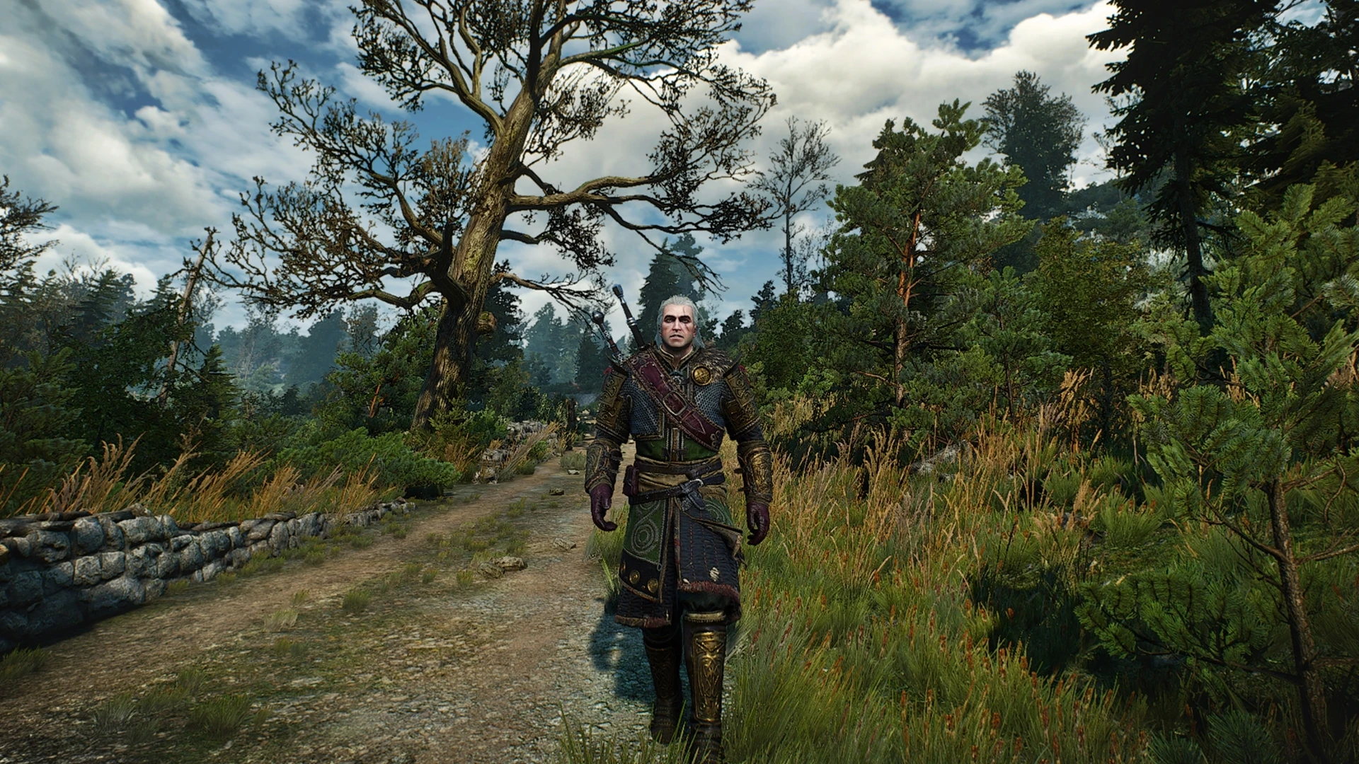 witcher 3 nexus