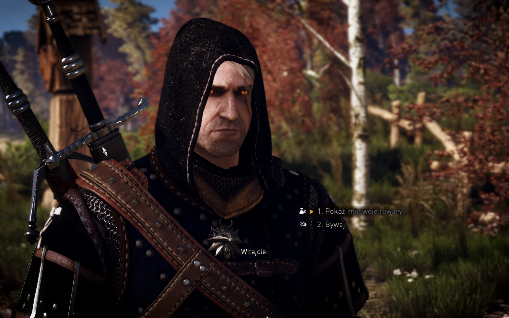 the witcher 2 mods