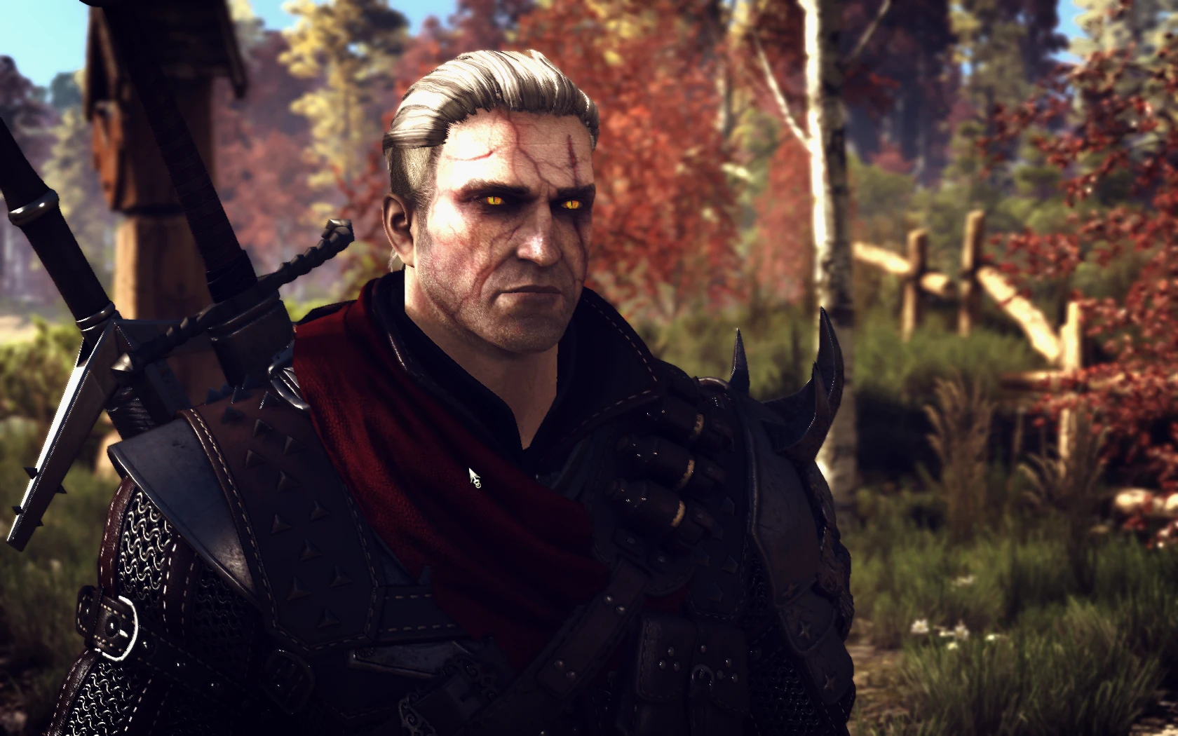 Geralt from Witcher 2 with beautiful armor.