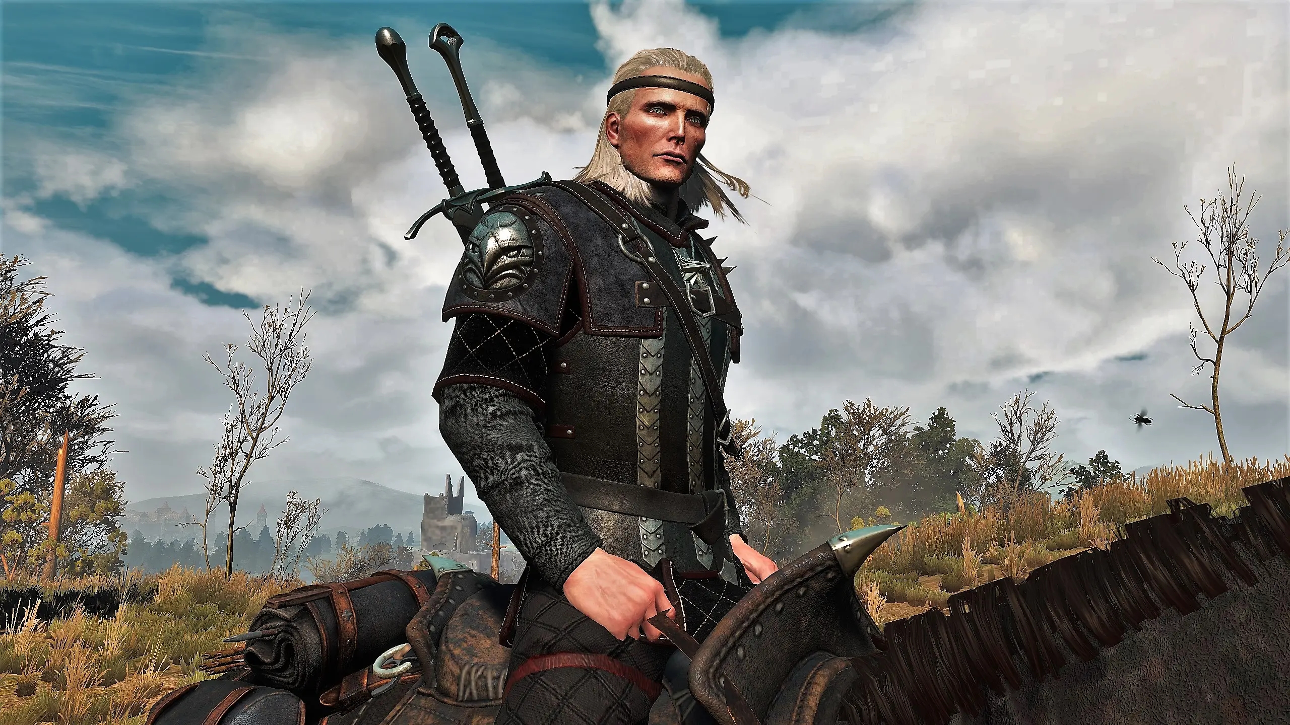 The witcher 3 install mods фото 16