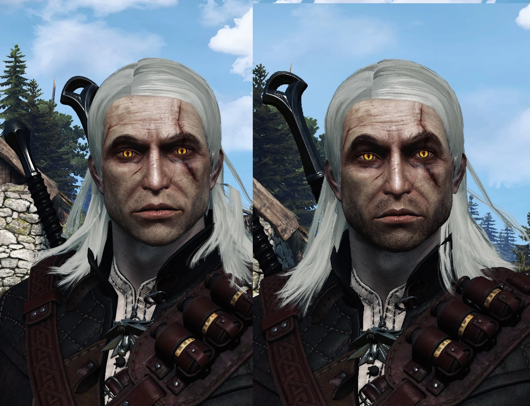 The witcher 3 geralt doppler фото 35