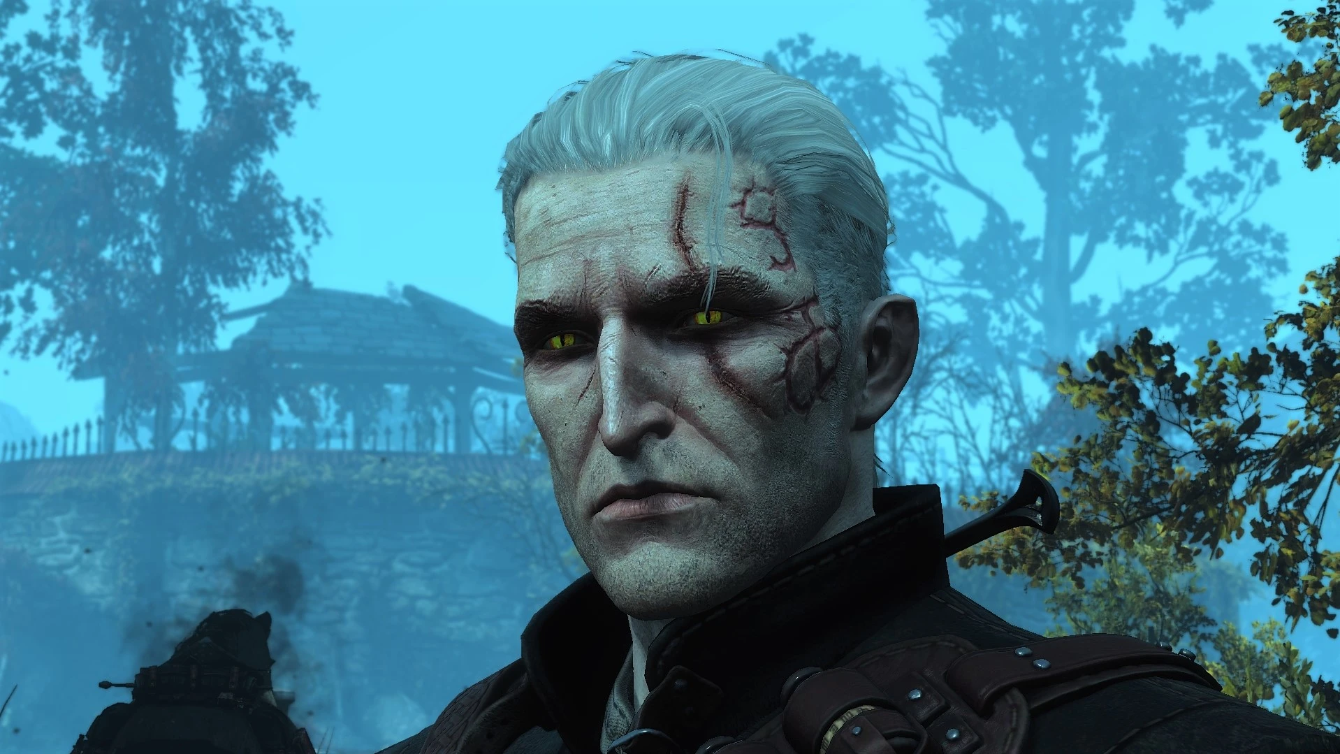 Nexus the witcher 3 mod manager фото 82