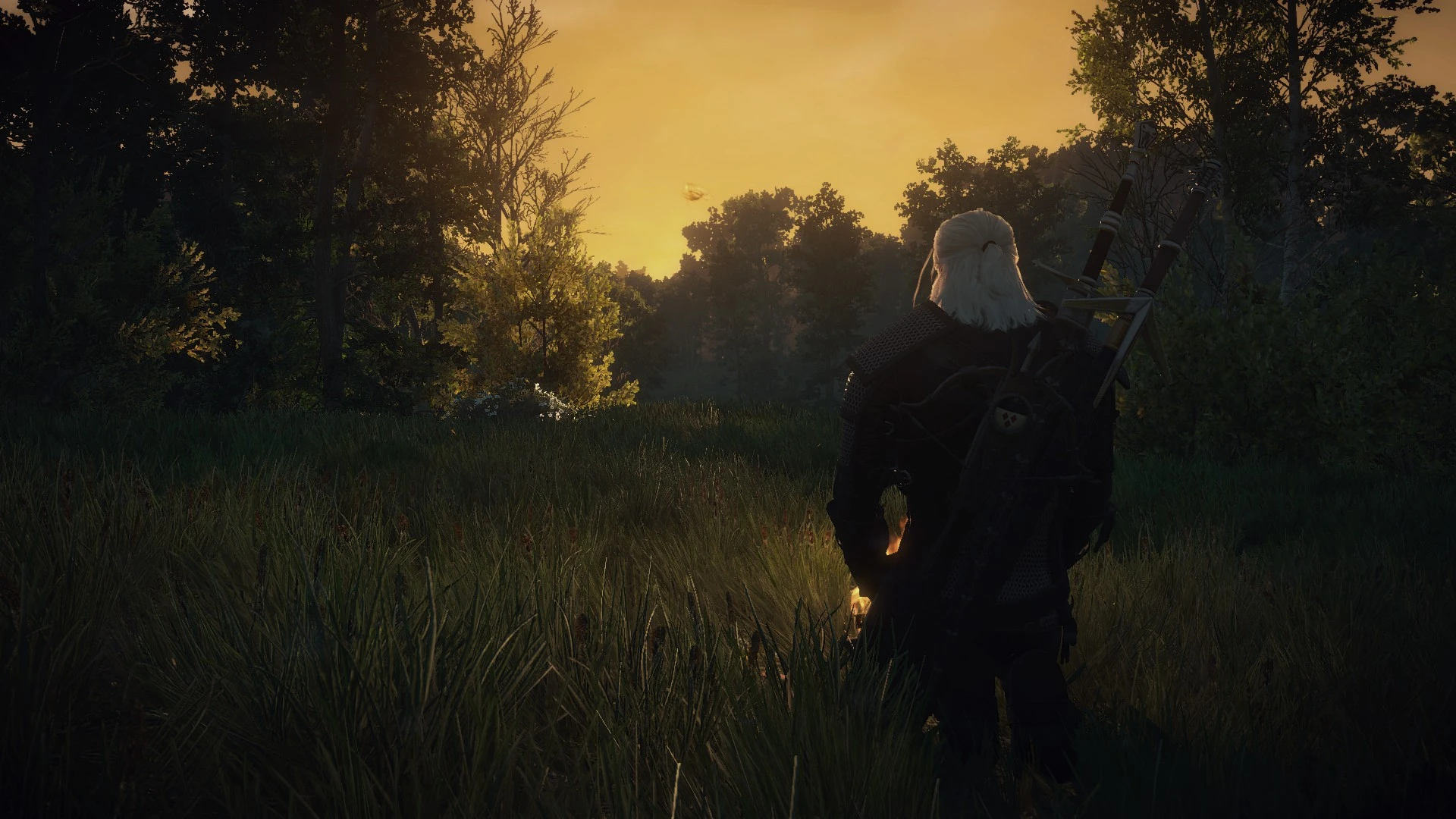 Meditate At The Witcher 3 Nexus - Mods And Community