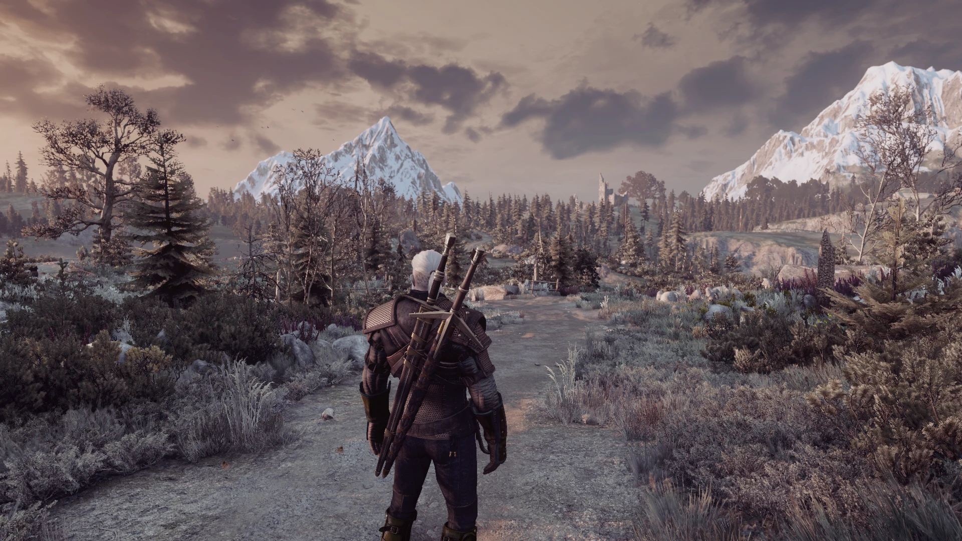 The witcher 3 quests skellige фото 74