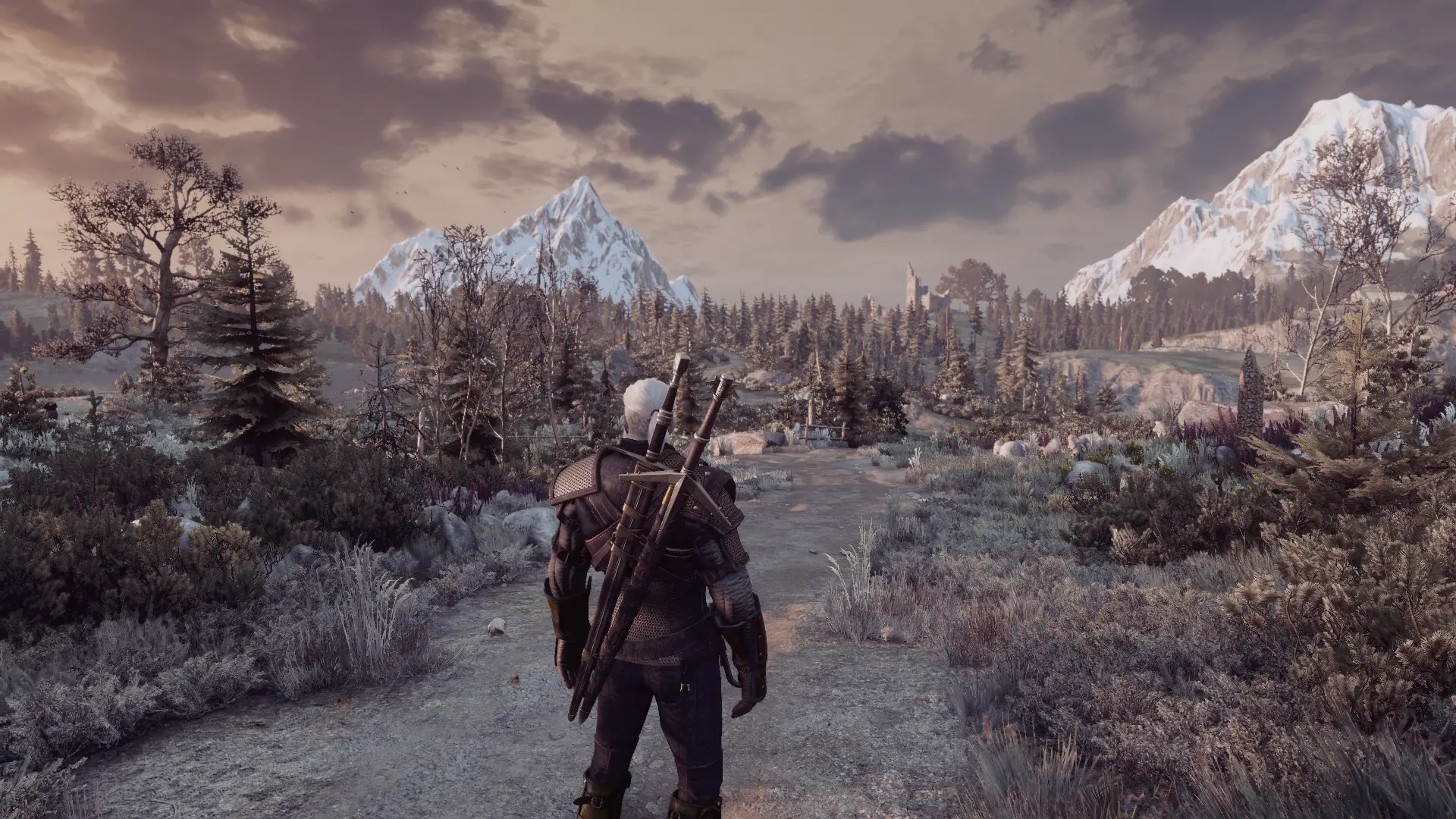 The witcher 3 колода скеллиге фото 75