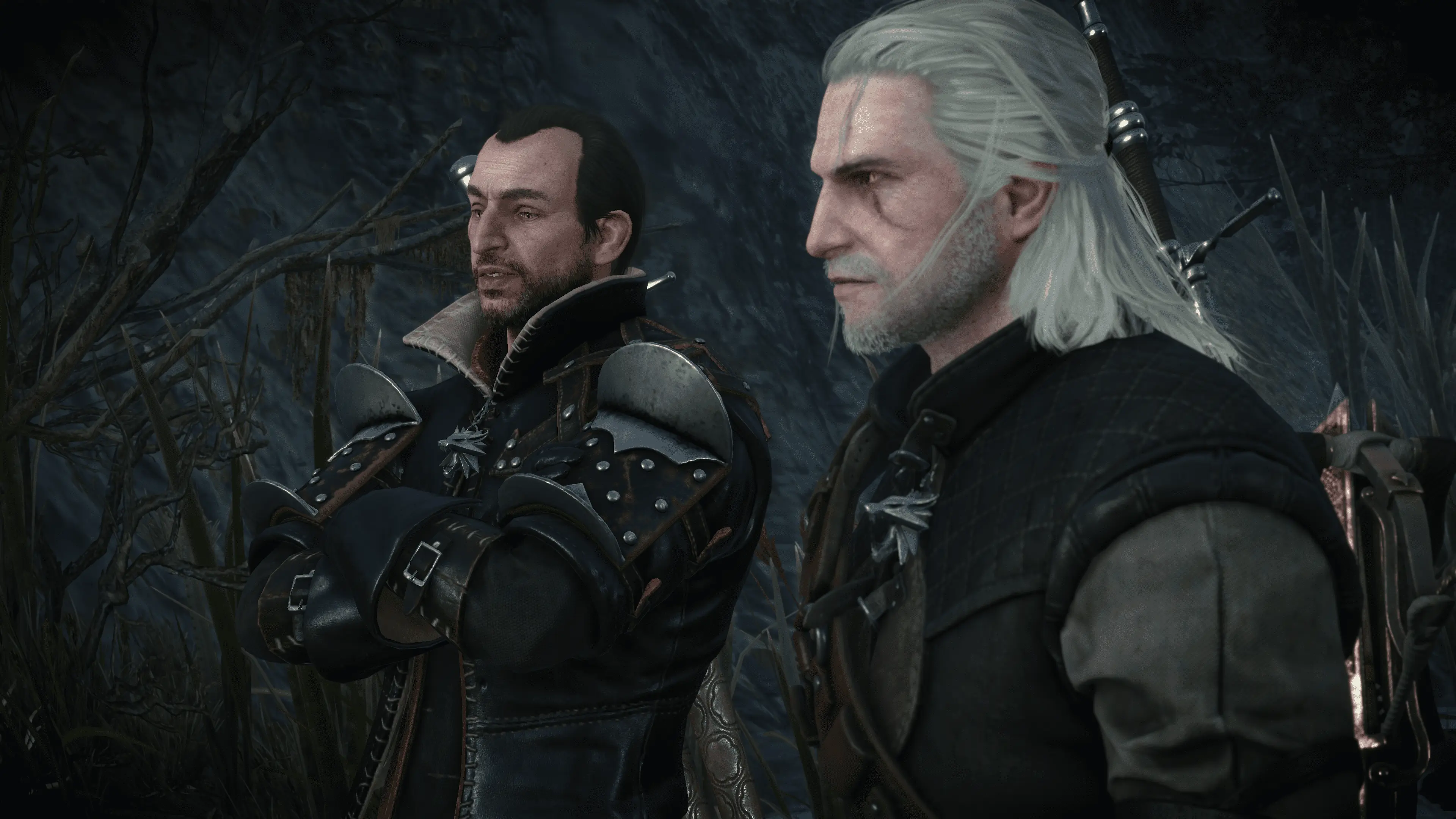 The Witcher 2 Character Collection - (OUTDATED) at The Witcher 2 Nexus -  mods and community