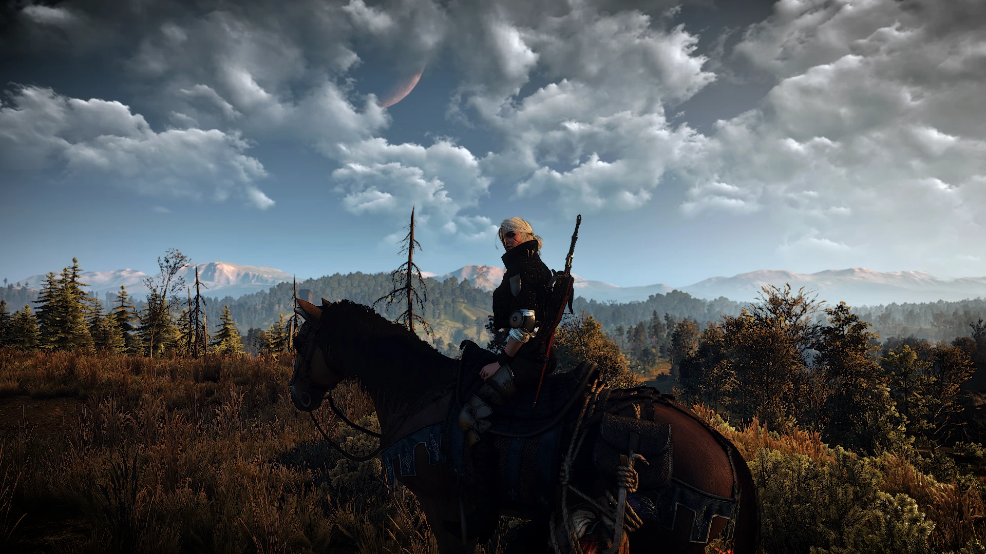 At The Witcher 3 Nexus - Mods And Community