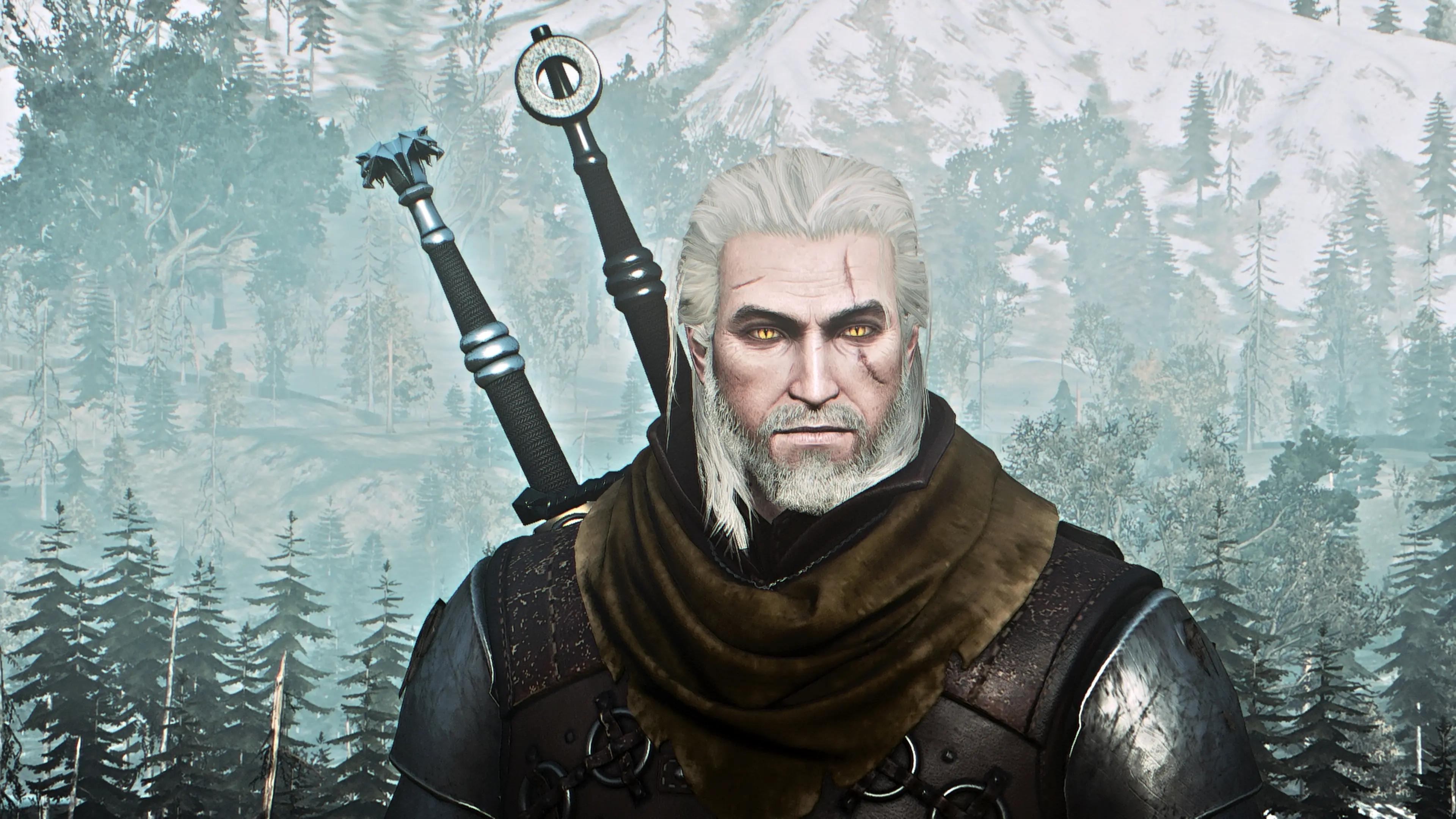 The witcher 3 nexus mods and community фото 69