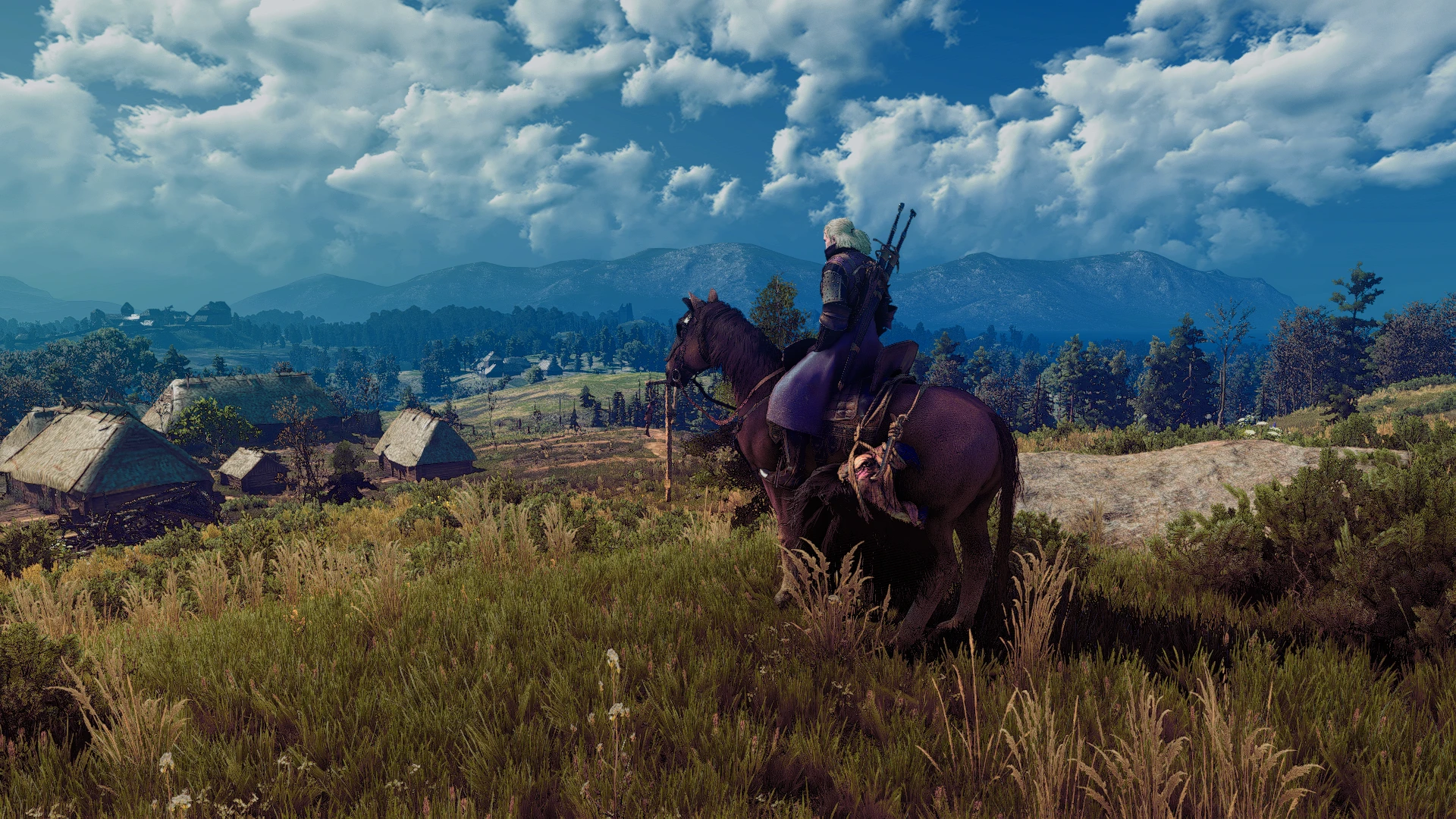 The witcher 3 nexus mods and community фото 110