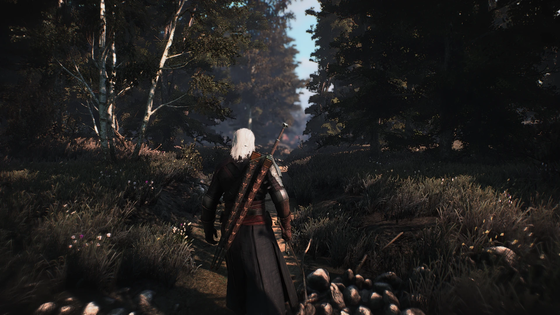 The witcher 3 gtx 1650 фото 87