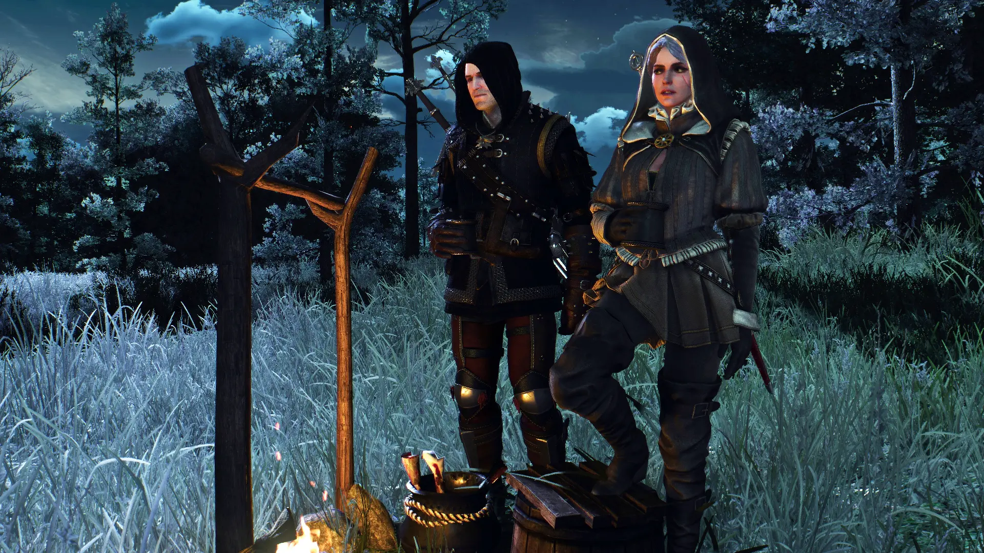 The witcher 3 finishers mod фото 98