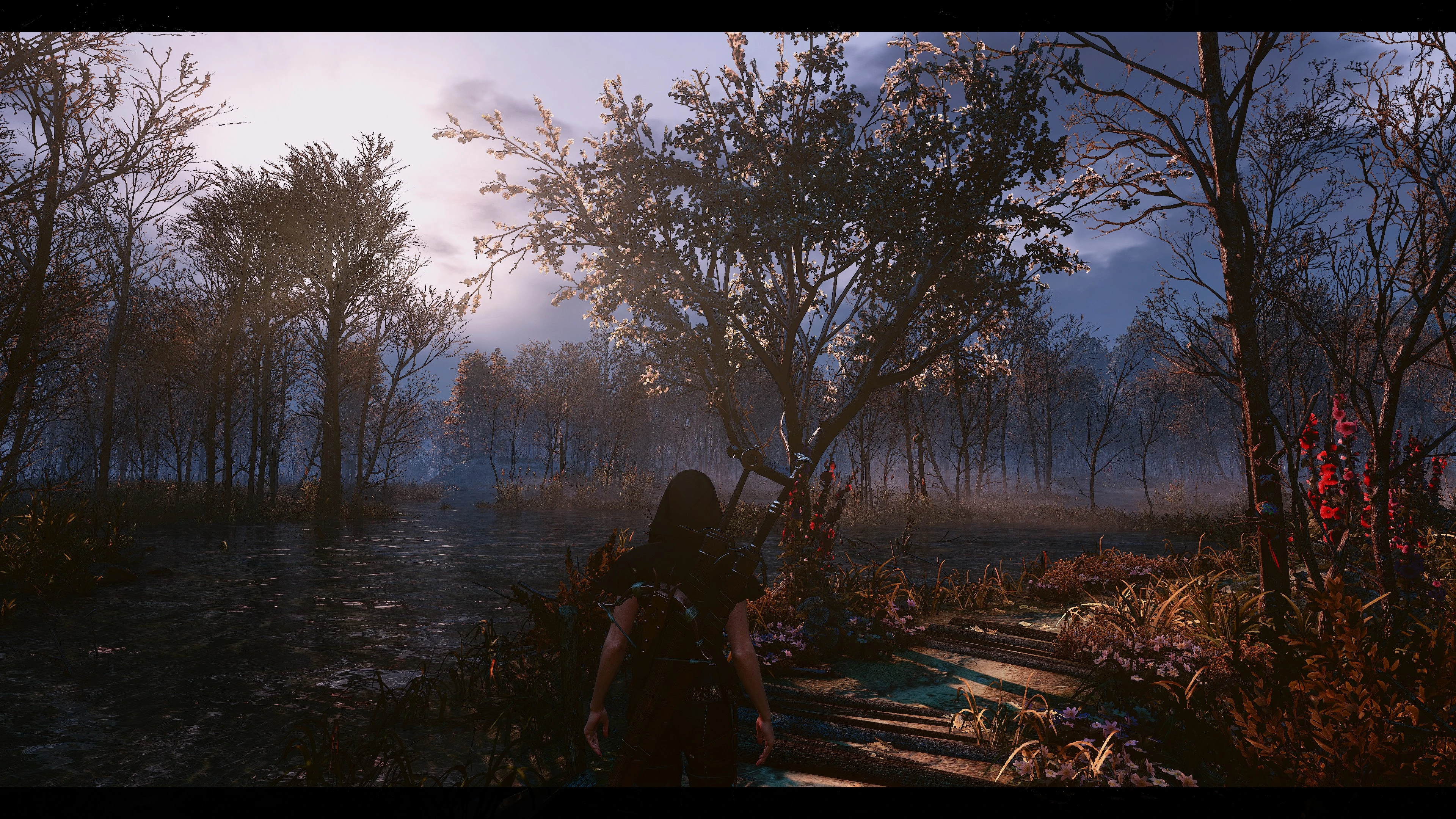 Nvidia для the witcher 3 фото 105