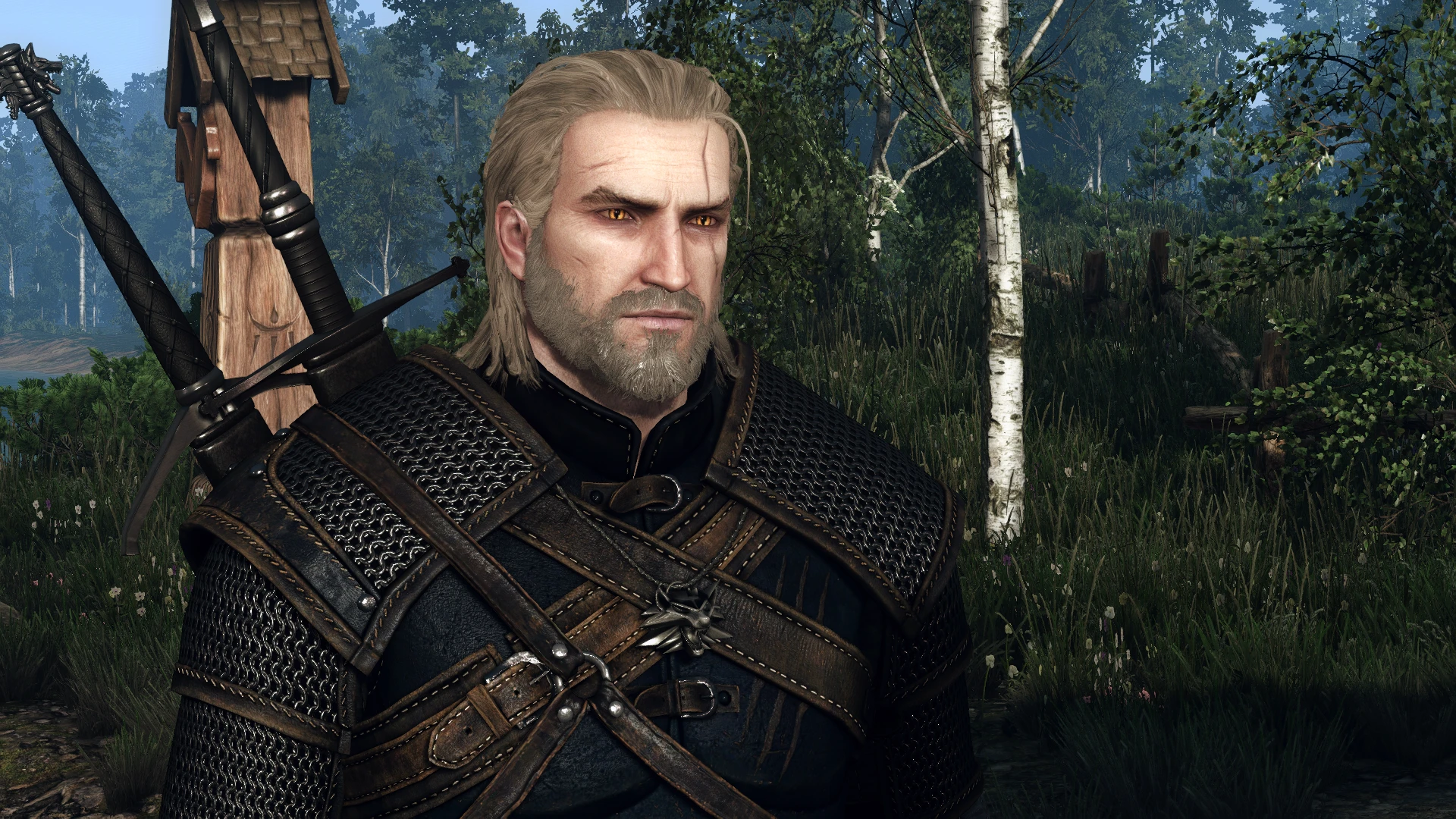 A Night to Remember Geralt at The Witcher 3 Nexus - Mods and community