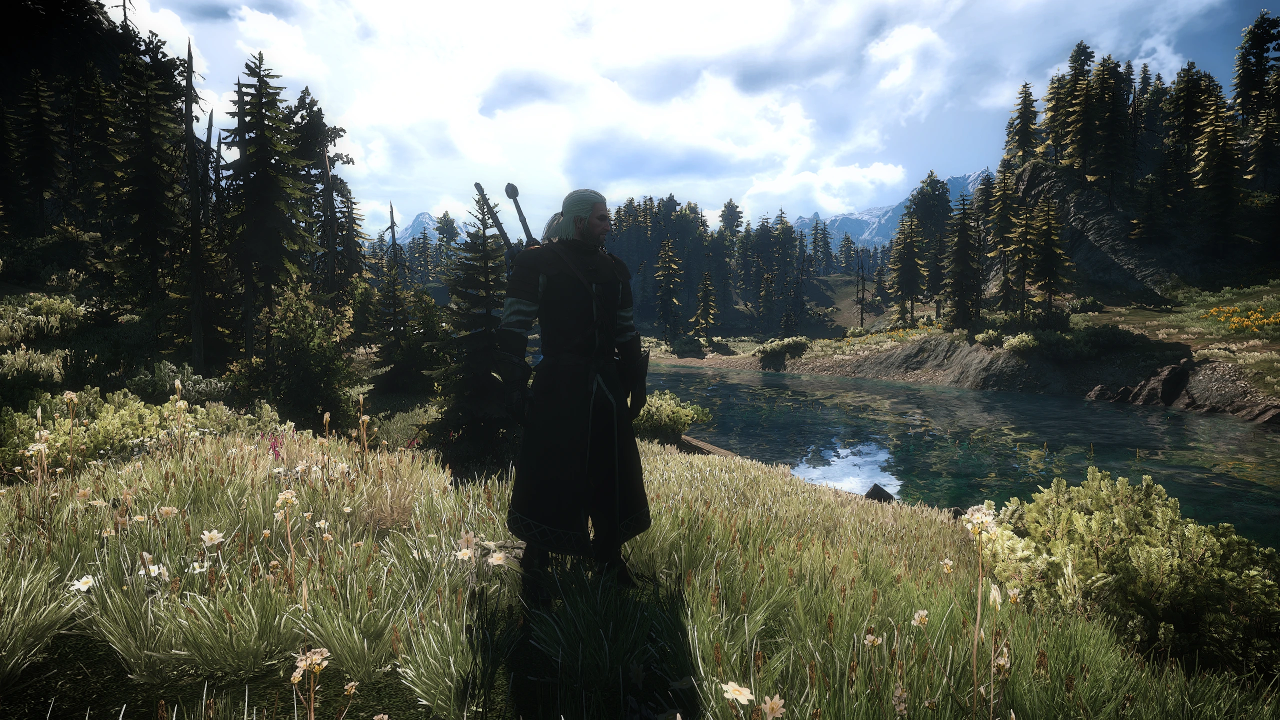 Peaceful Strolls at The Witcher 3 Nexus - Mods and community