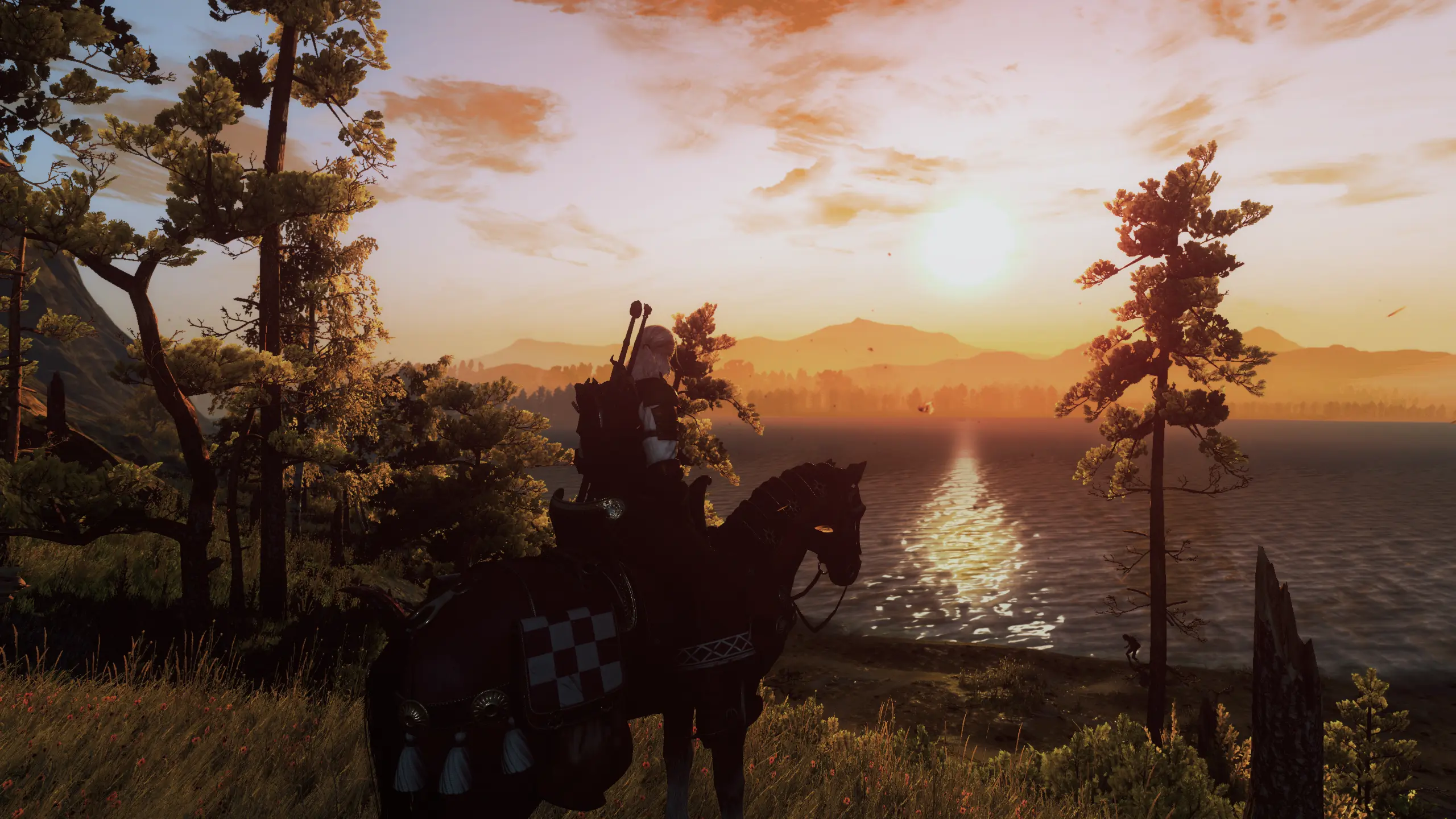 That Velen Sunrise at The Witcher 3 Nexus - Mods and community