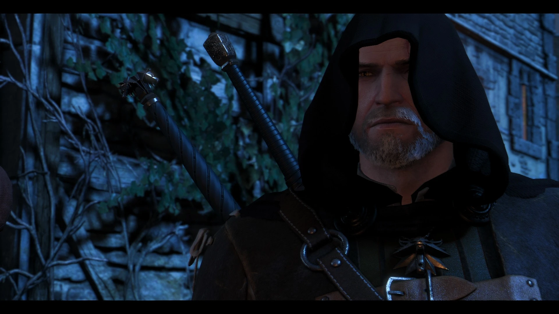witcher 3 white gull witcher 3 white gull