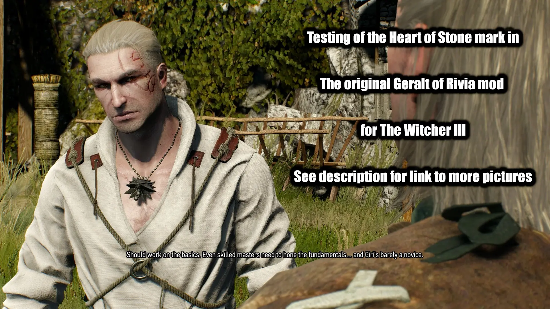 Heart Of Stone Mark At The Witcher 3 Nexus Mods And Community