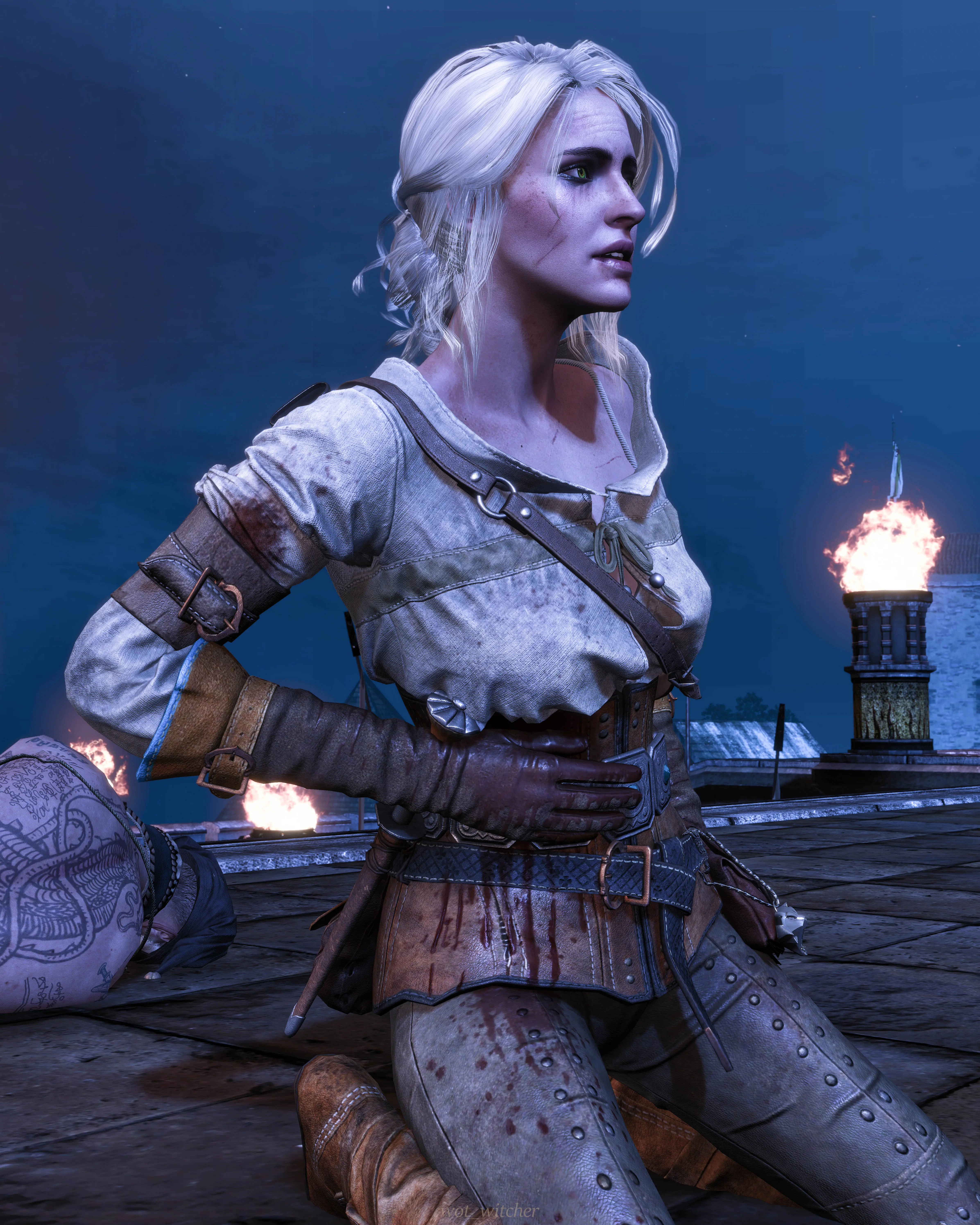  Ciri  at The Witcher 3 Nexus Mods and community